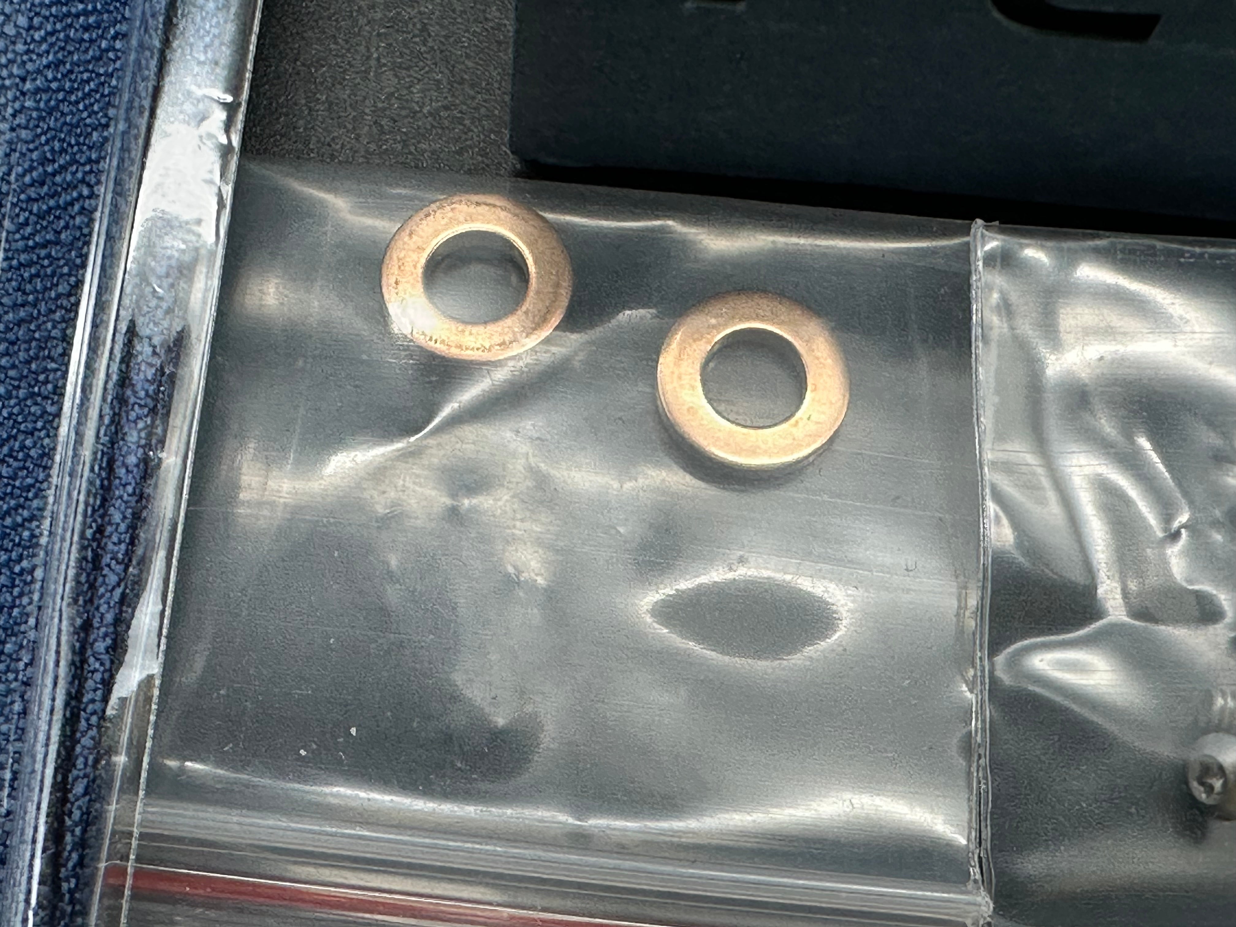 Petrified Fish Mini Beluga, 2.99" 14C28N Sandblasted Blade with Carbon Fiber Handle