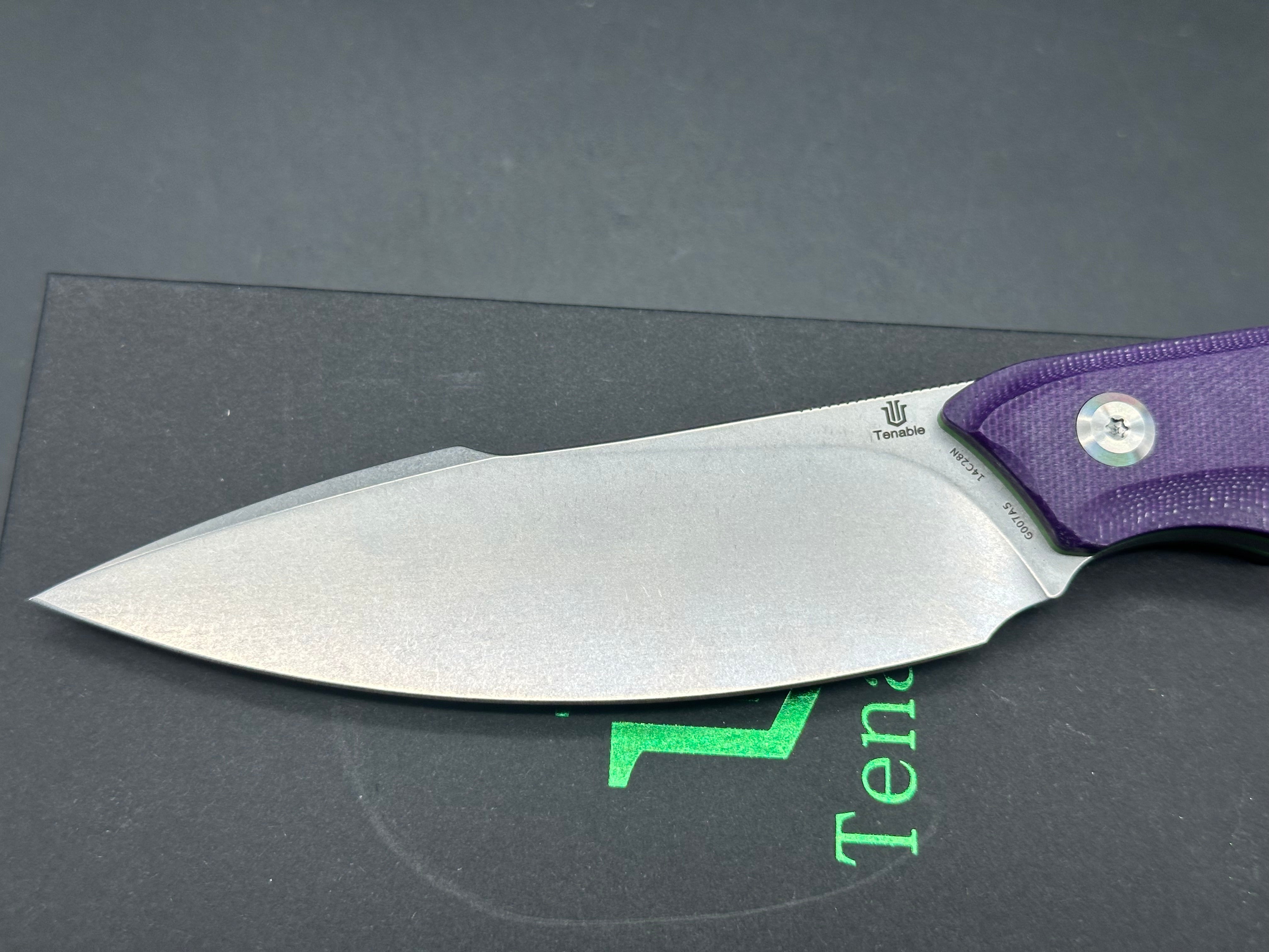 TENABLE LUCCIO FIXED BLADE KNIFE PURPLE G10 HANDLE 14C28N PLAIN STONEWASH BLADE
