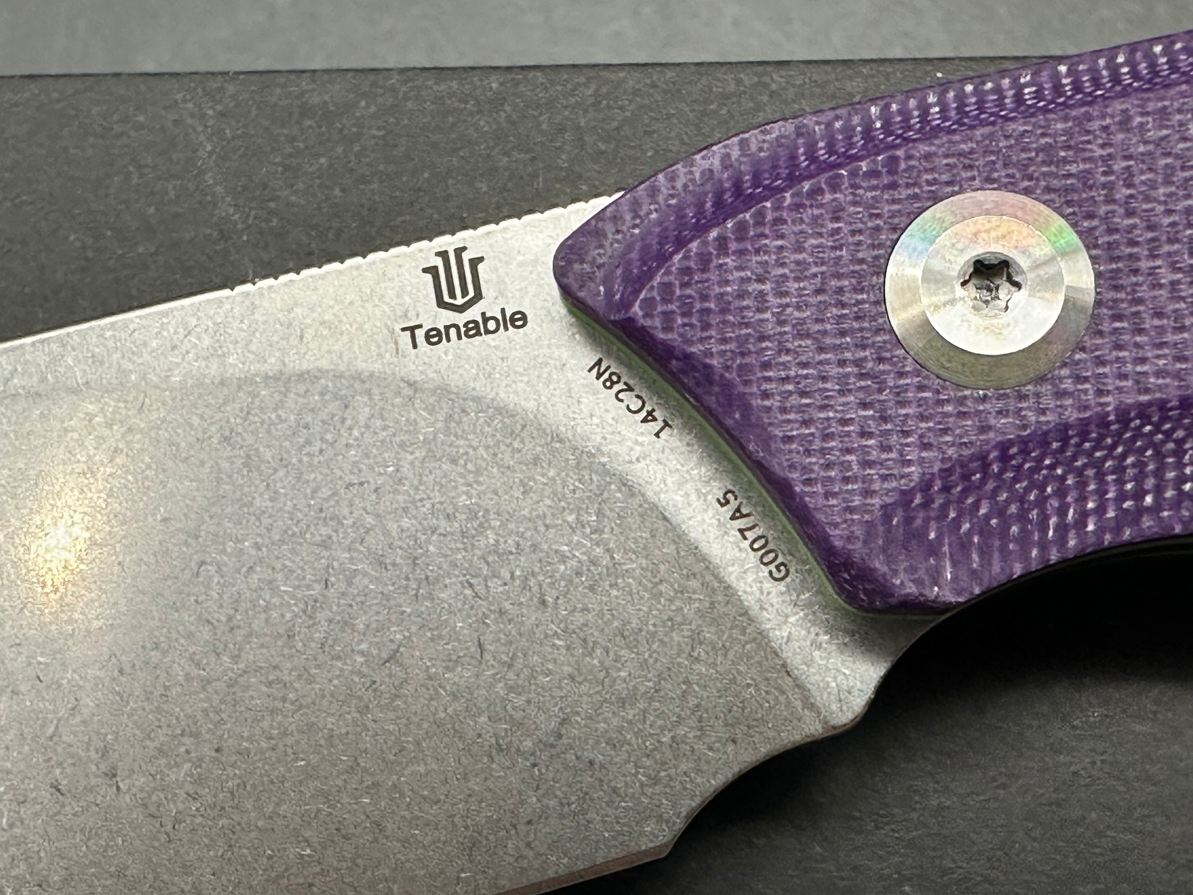 TENABLE LUCCIO FIXED BLADE KNIFE PURPLE G10 HANDLE 14C28N PLAIN STONEWASH BLADE