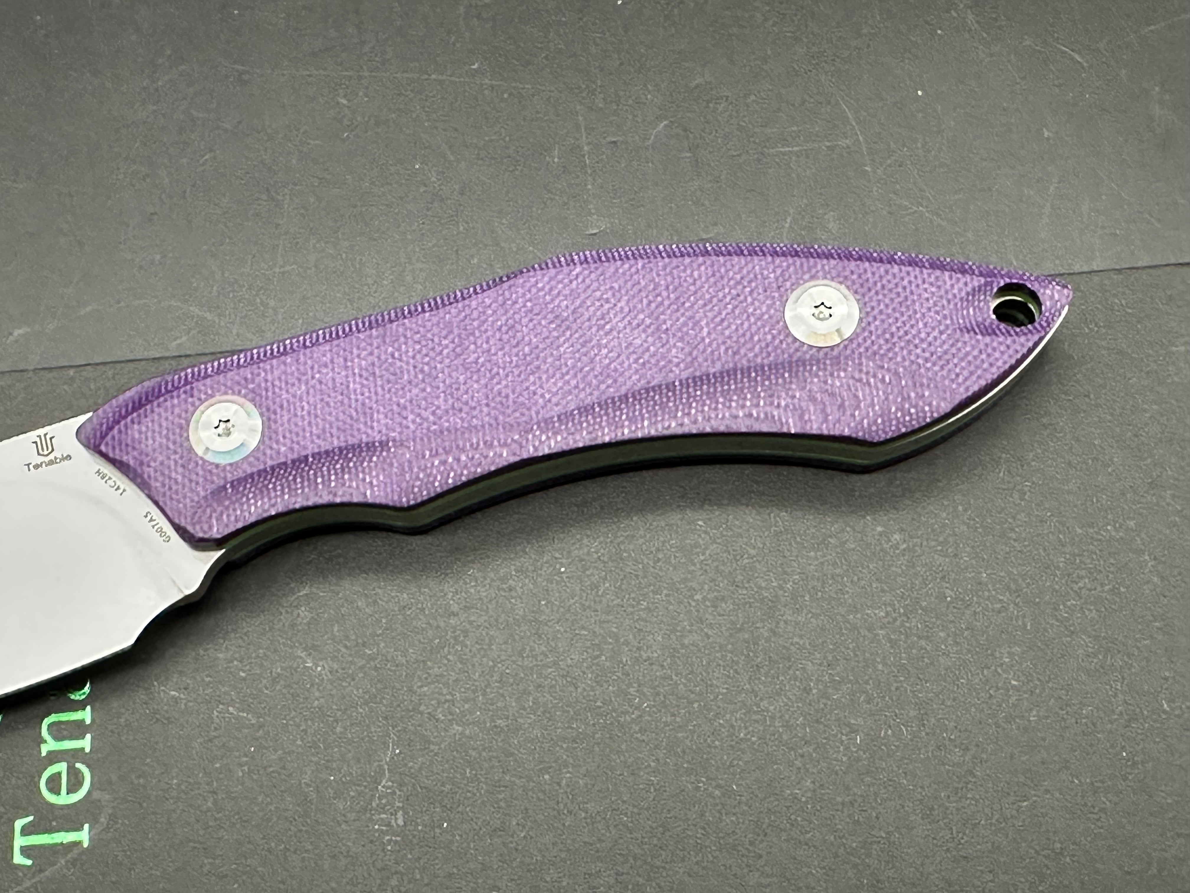 TENABLE LUCCIO FIXED BLADE KNIFE PURPLE G10 HANDLE 14C28N PLAIN STONEWASH BLADE