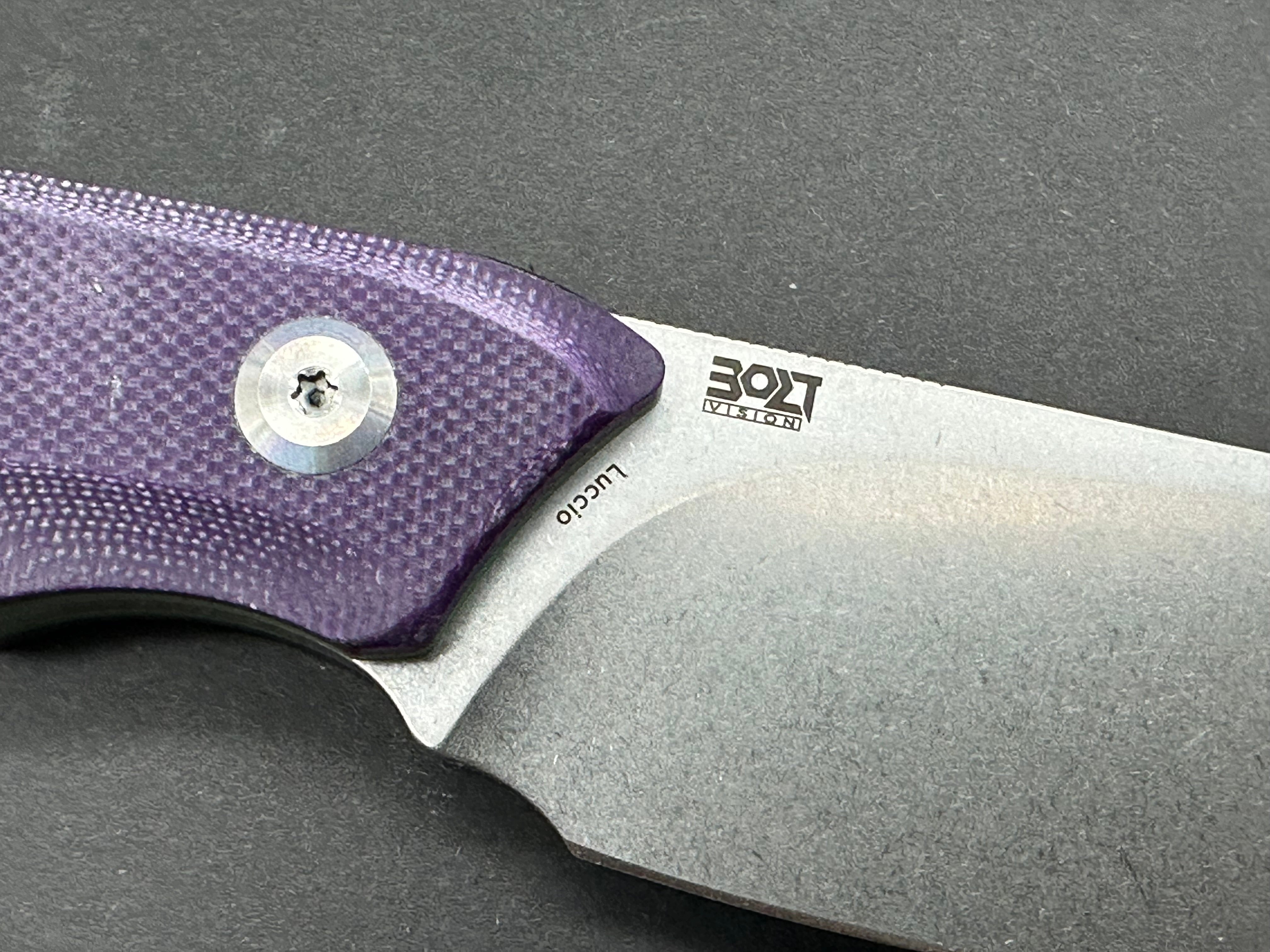 TENABLE LUCCIO FIXED BLADE KNIFE PURPLE G10 HANDLE 14C28N PLAIN STONEWASH BLADE