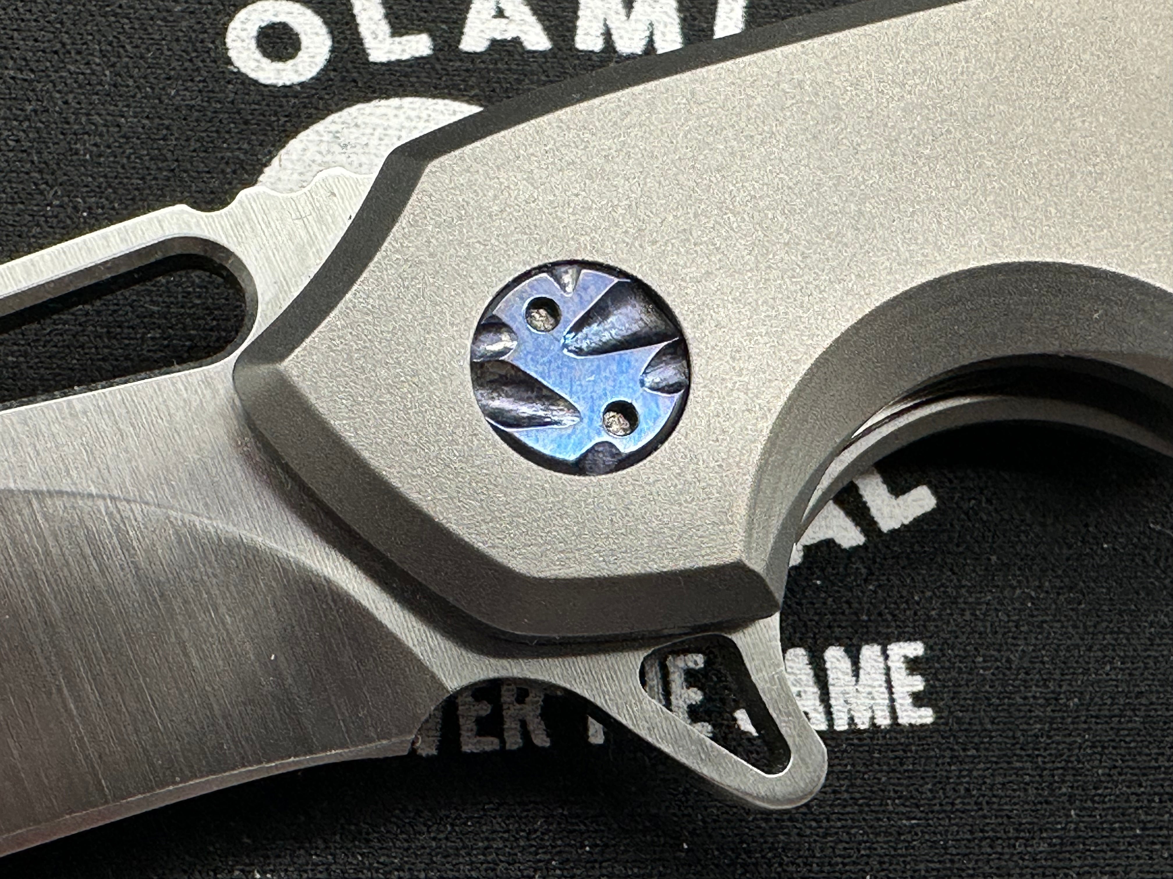 Olamic Wayfarer, M390 satin blade, matte titanium handle