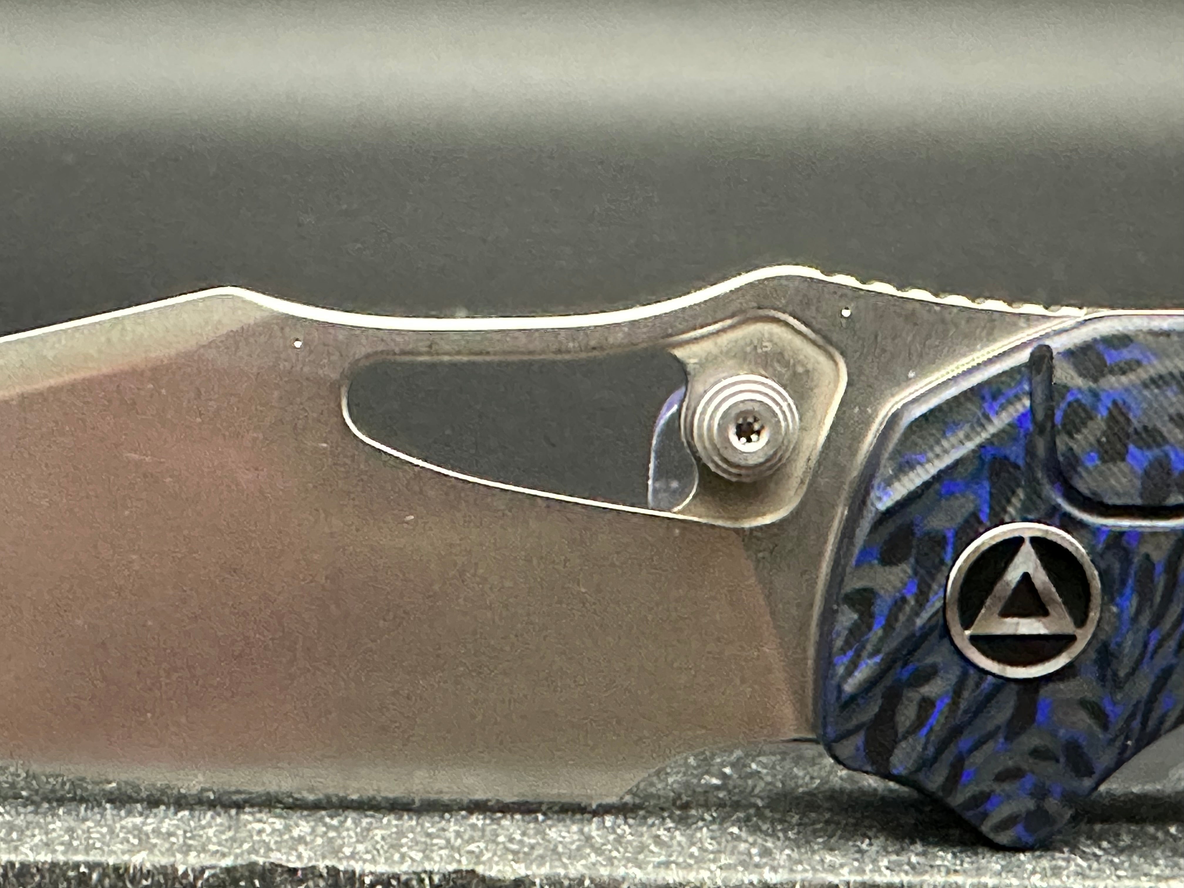 QSP HORNBILL BLUE CF