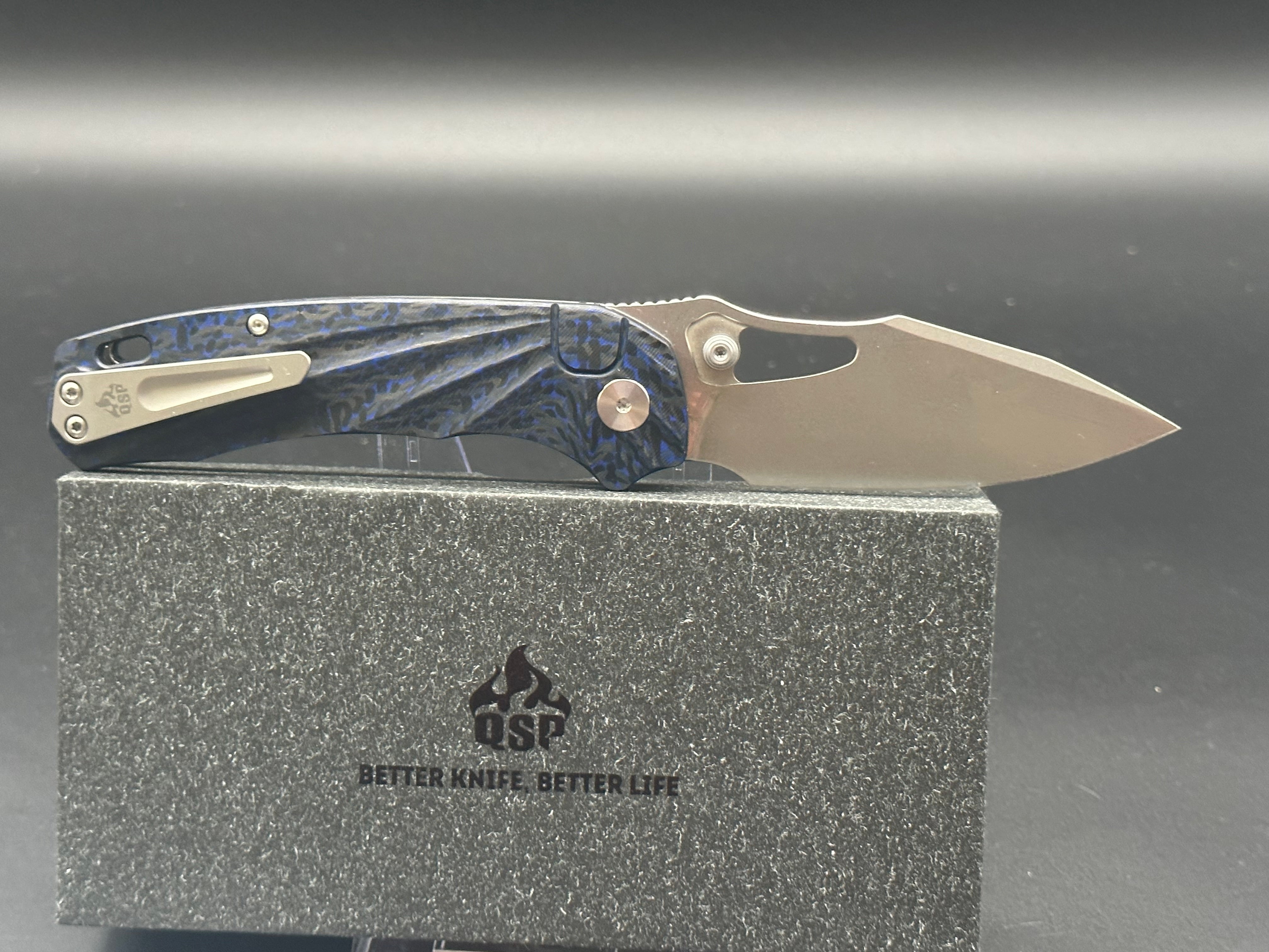 QSP HORNBILL BLUE CF