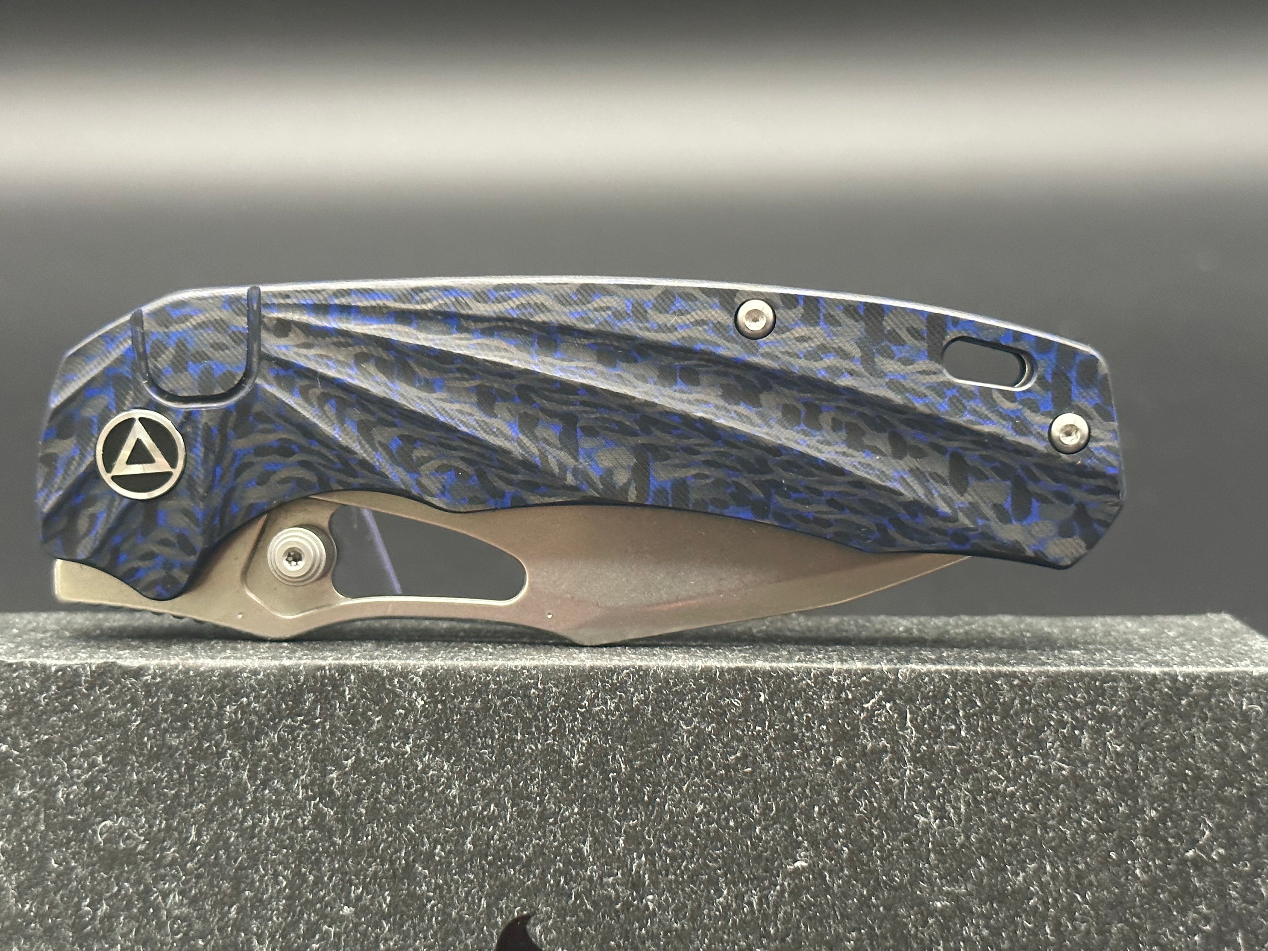 QSP HORNBILL BLUE CF