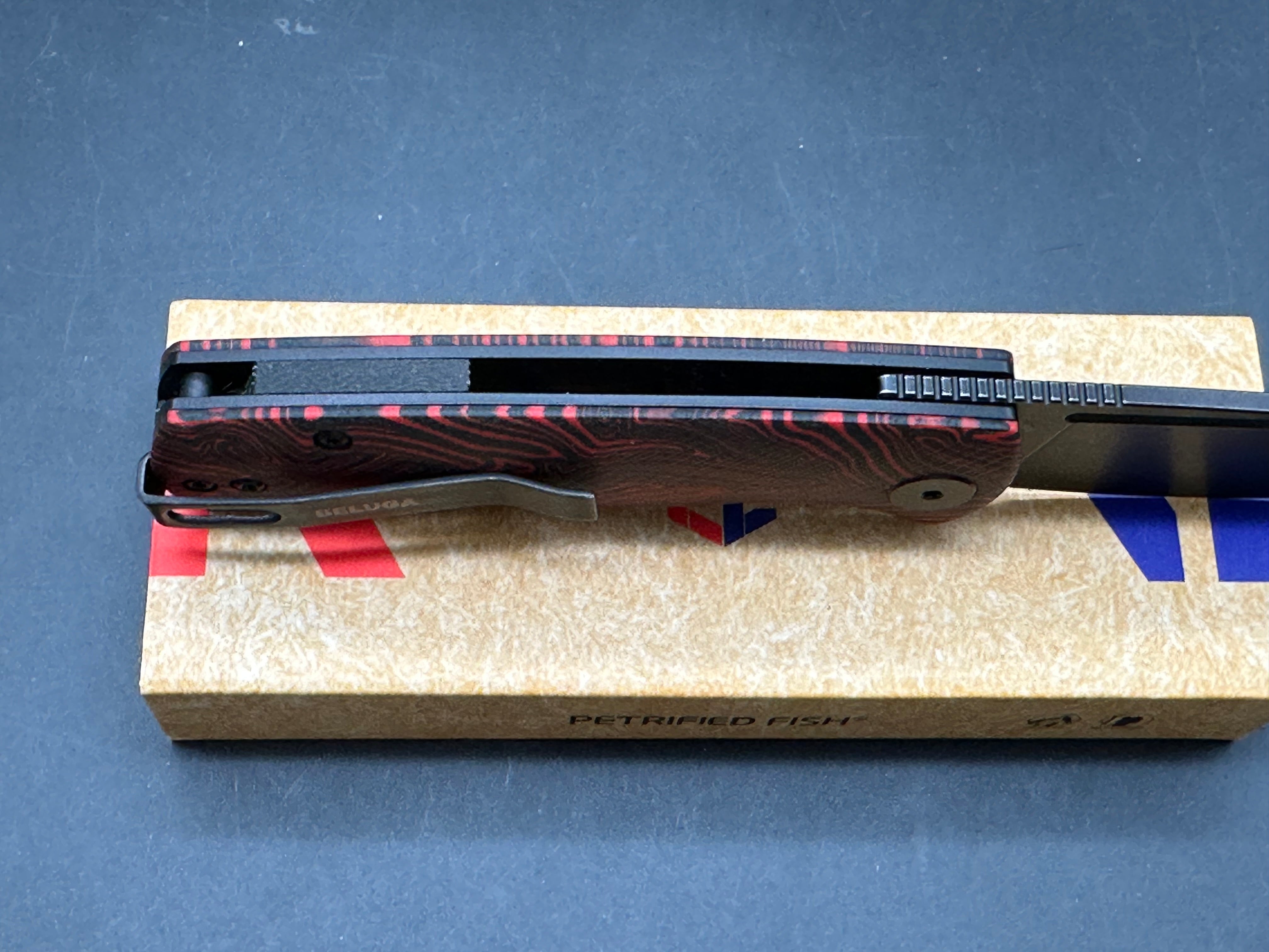 Petrified Fish Mini Beluga ,2.99" 14C28N Blade Red G10 Gmascus Handle