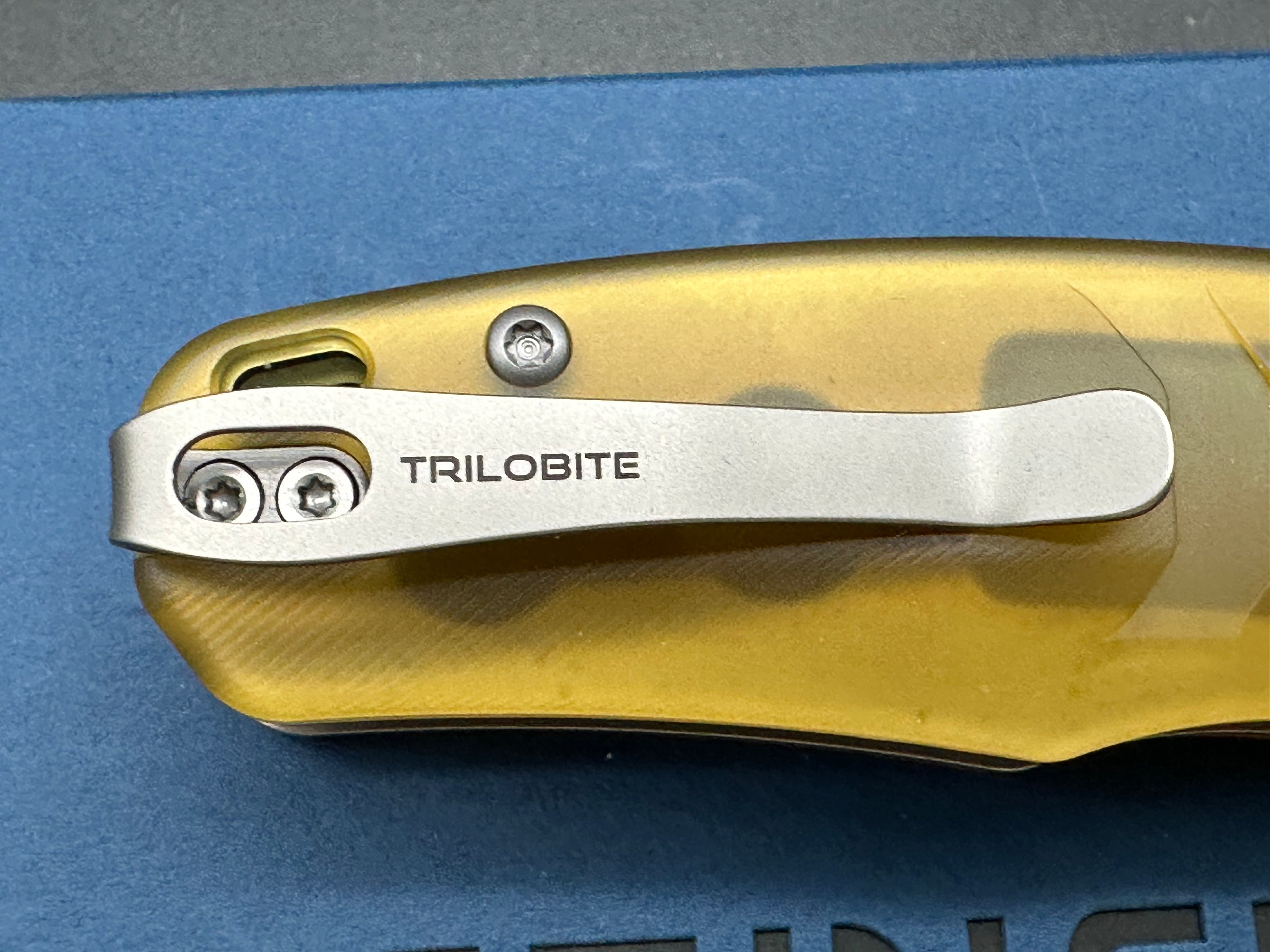 Petrified Fish PFE17 Trilobite 3 inch 14C28N Steel Blade ULTEM Handle Flipper Button lock