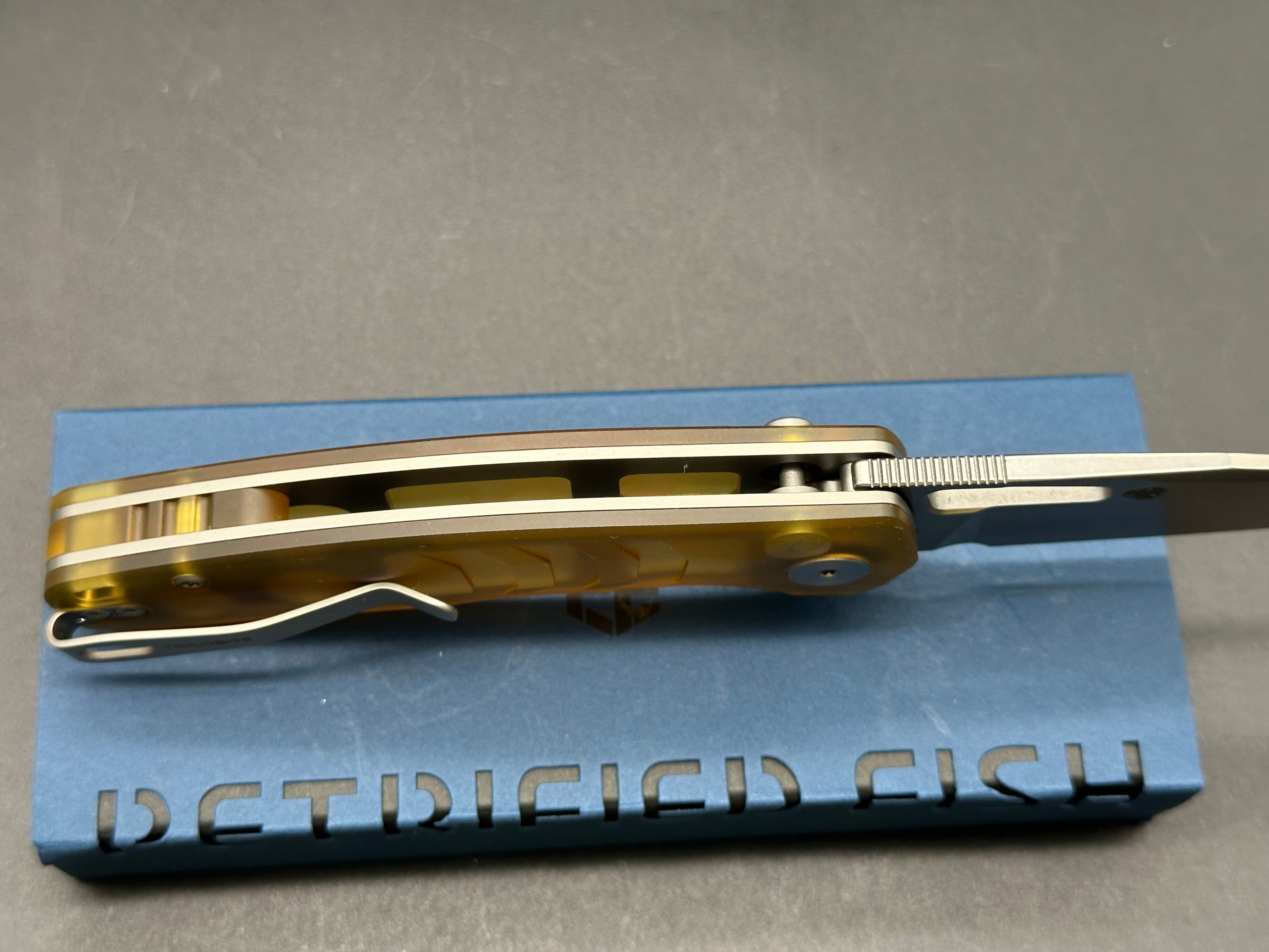 Petrified Fish PFE17 Trilobite 3 inch 14C28N Steel Blade ULTEM Handle Flipper Button lock