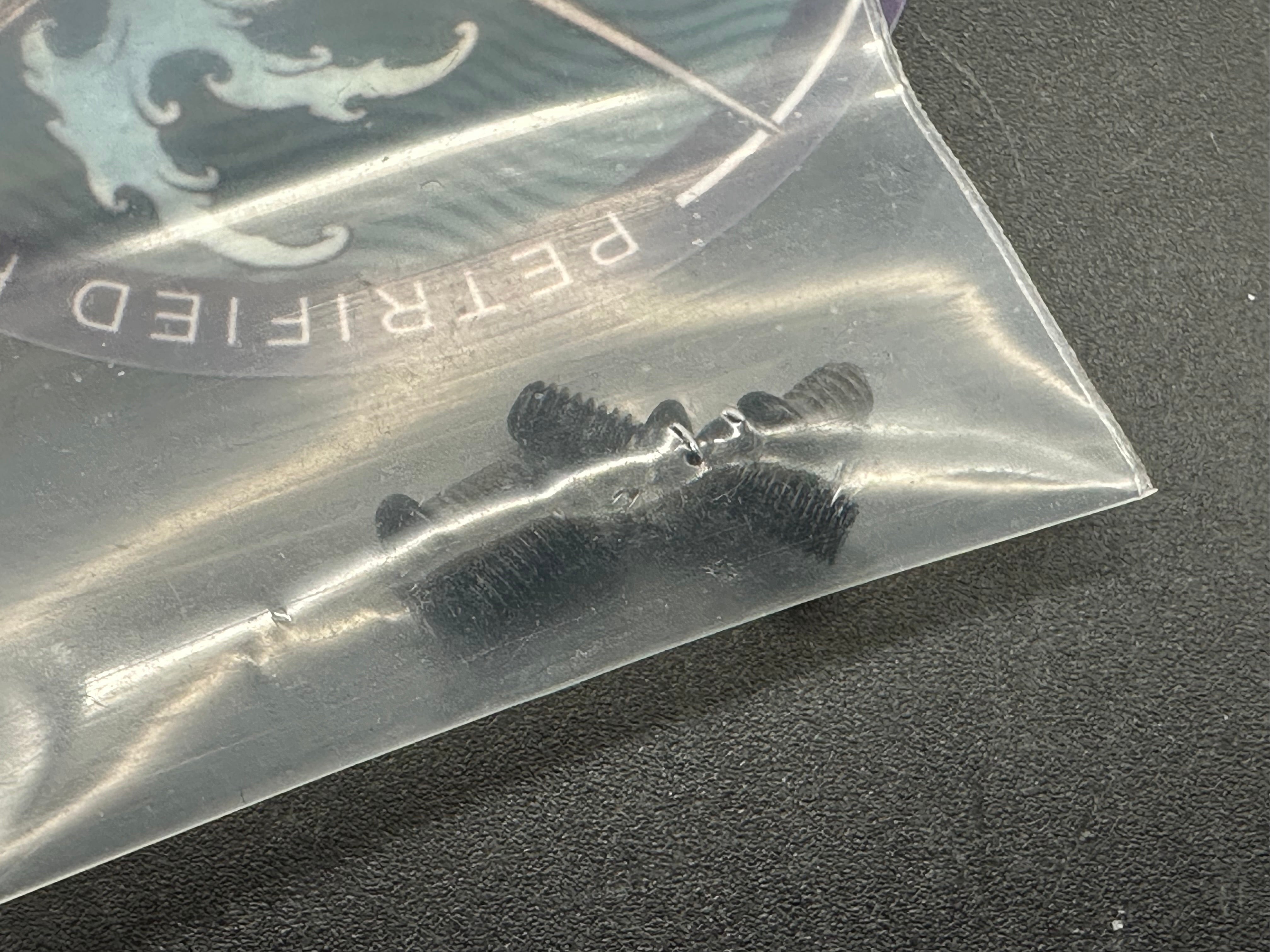 Petrified Fish PFE05 Flavorist  3.15 K110 Satin Blade Blue Micarta Handle Front Flipper