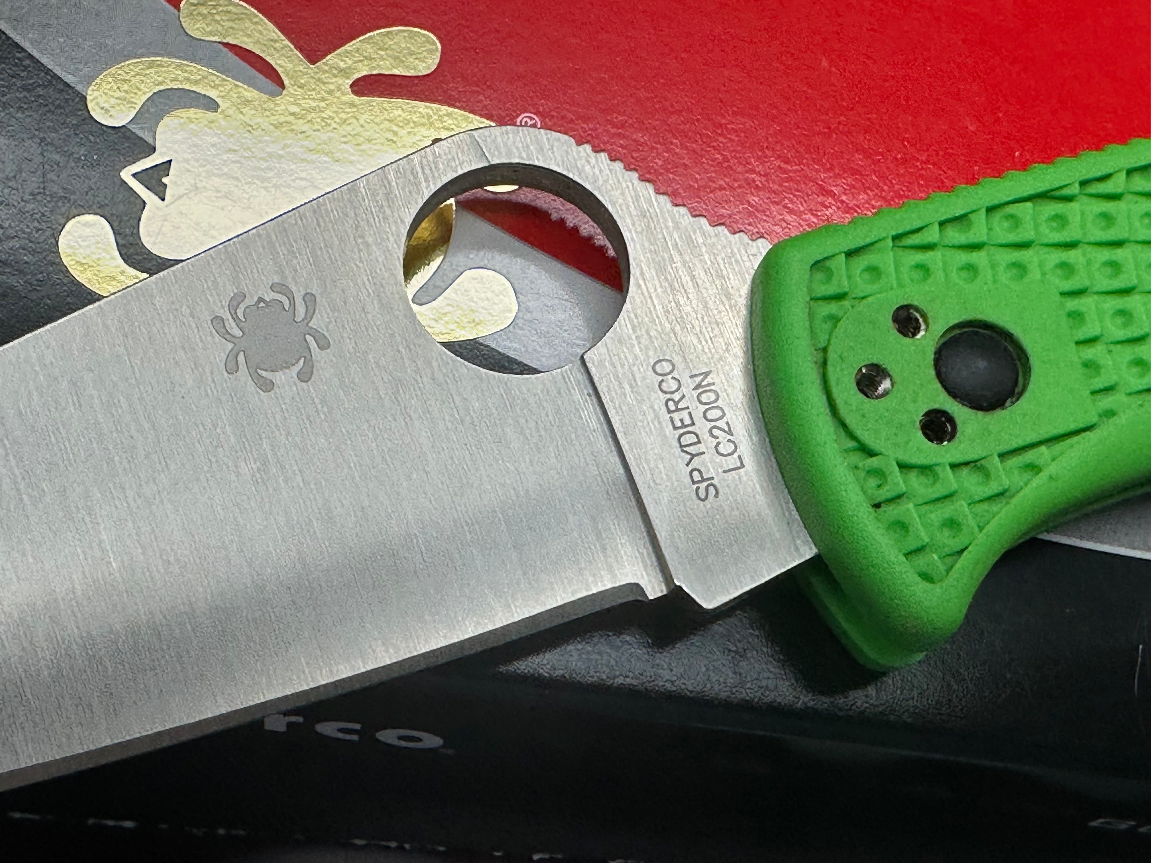 Spyderco Pacific Salt 2 Lockback Knife Green FRN (3.4" Satin LC200N)