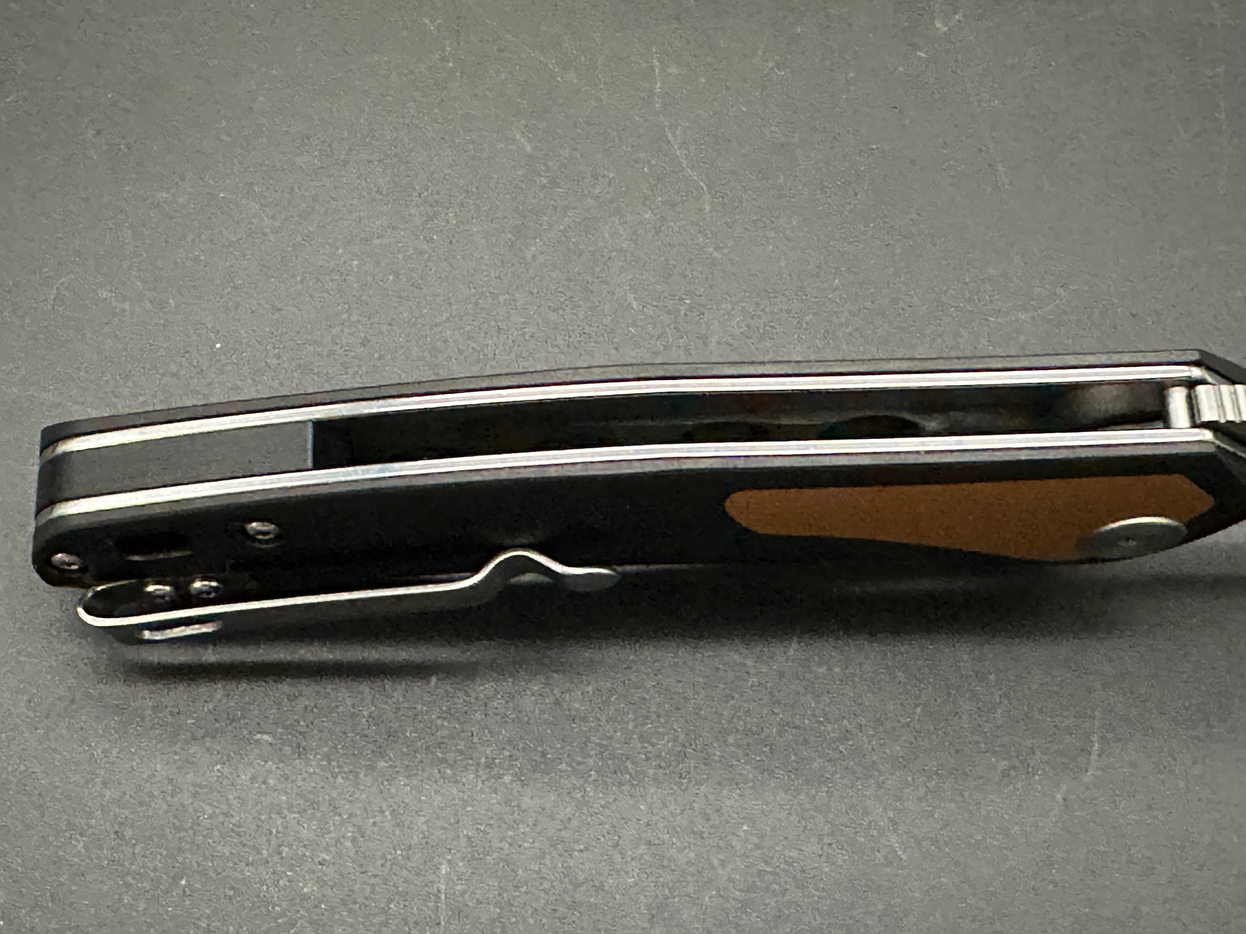 Petrified Fish PF838