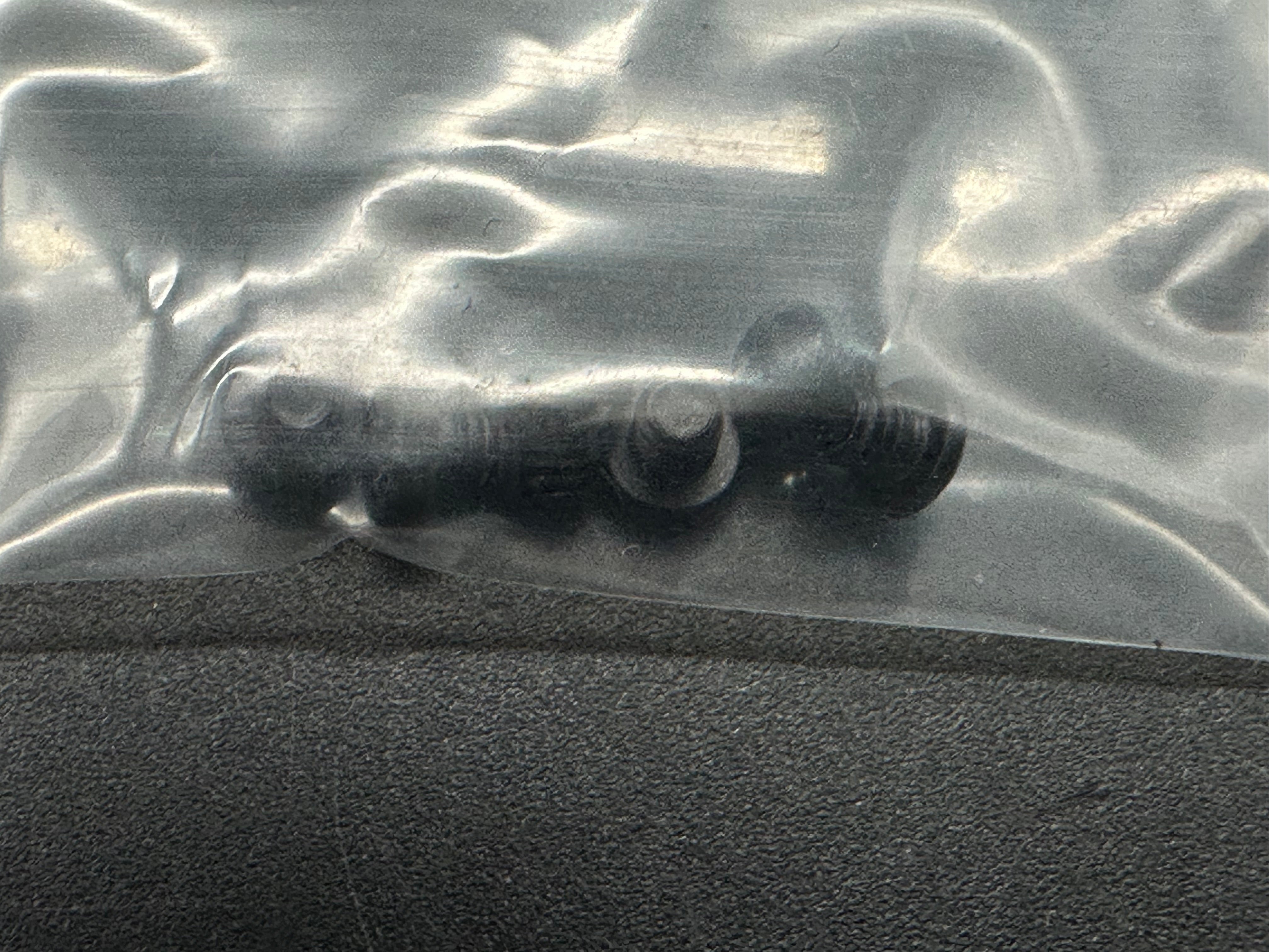 Petrified Fish - Patte
