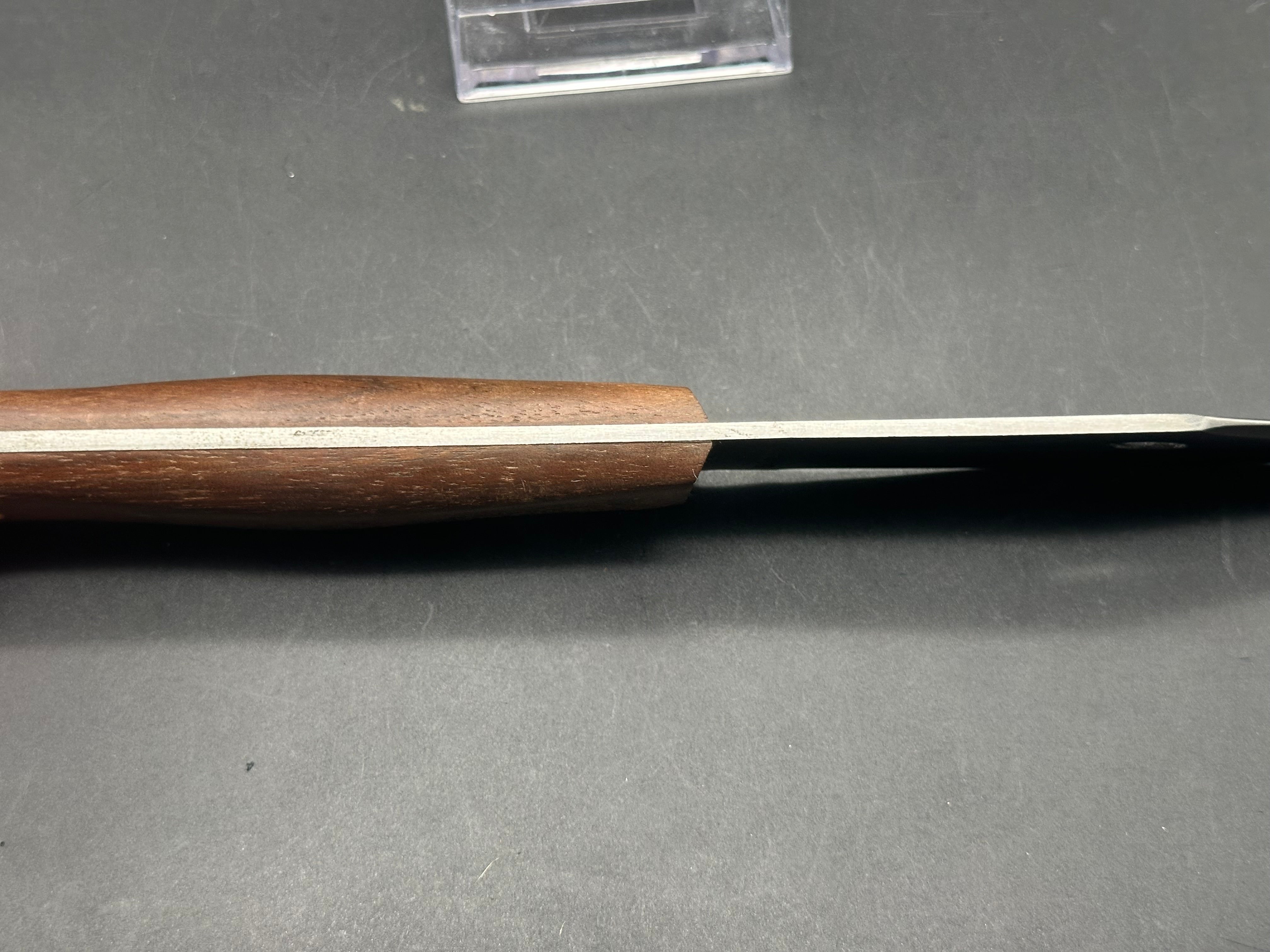 Condor JUNGLE BOWIE II