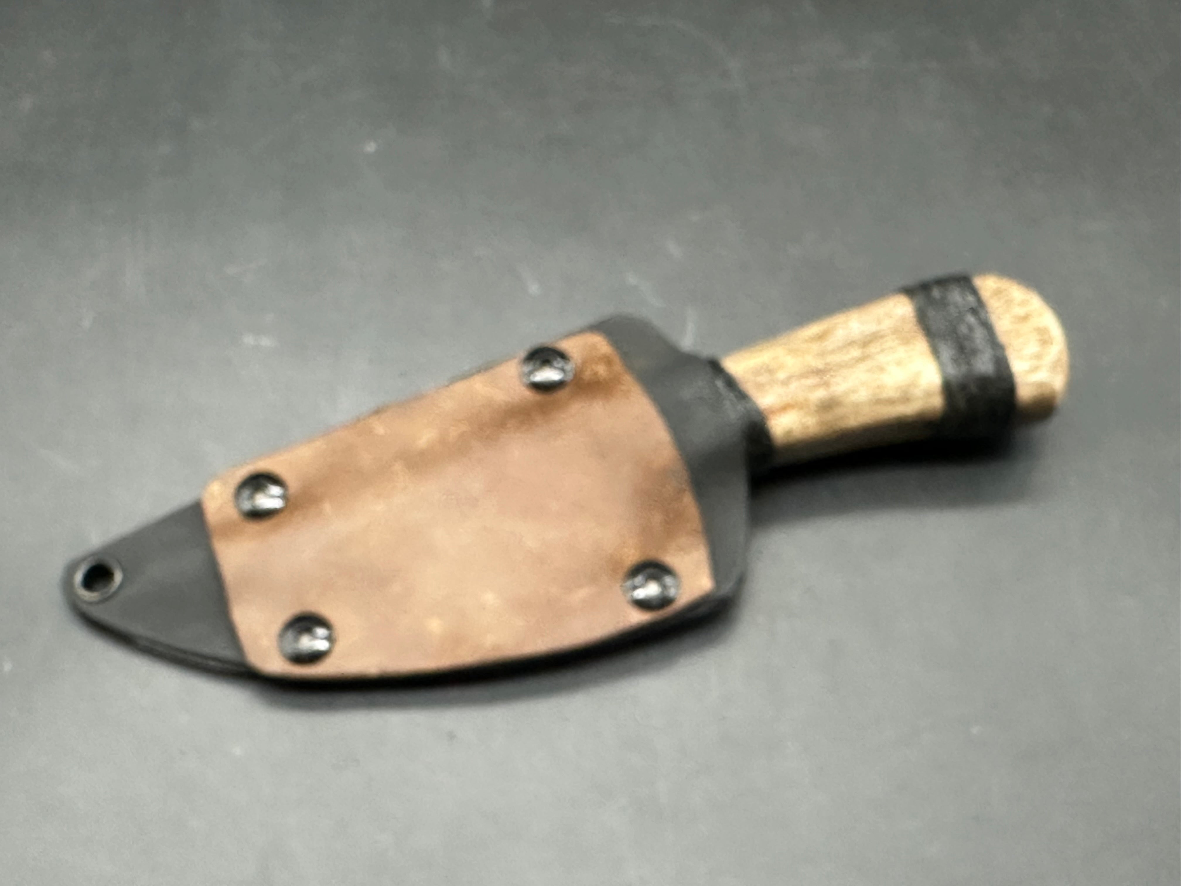 Polite But Dangerous - Moose Antler Roach Belly fixed blade