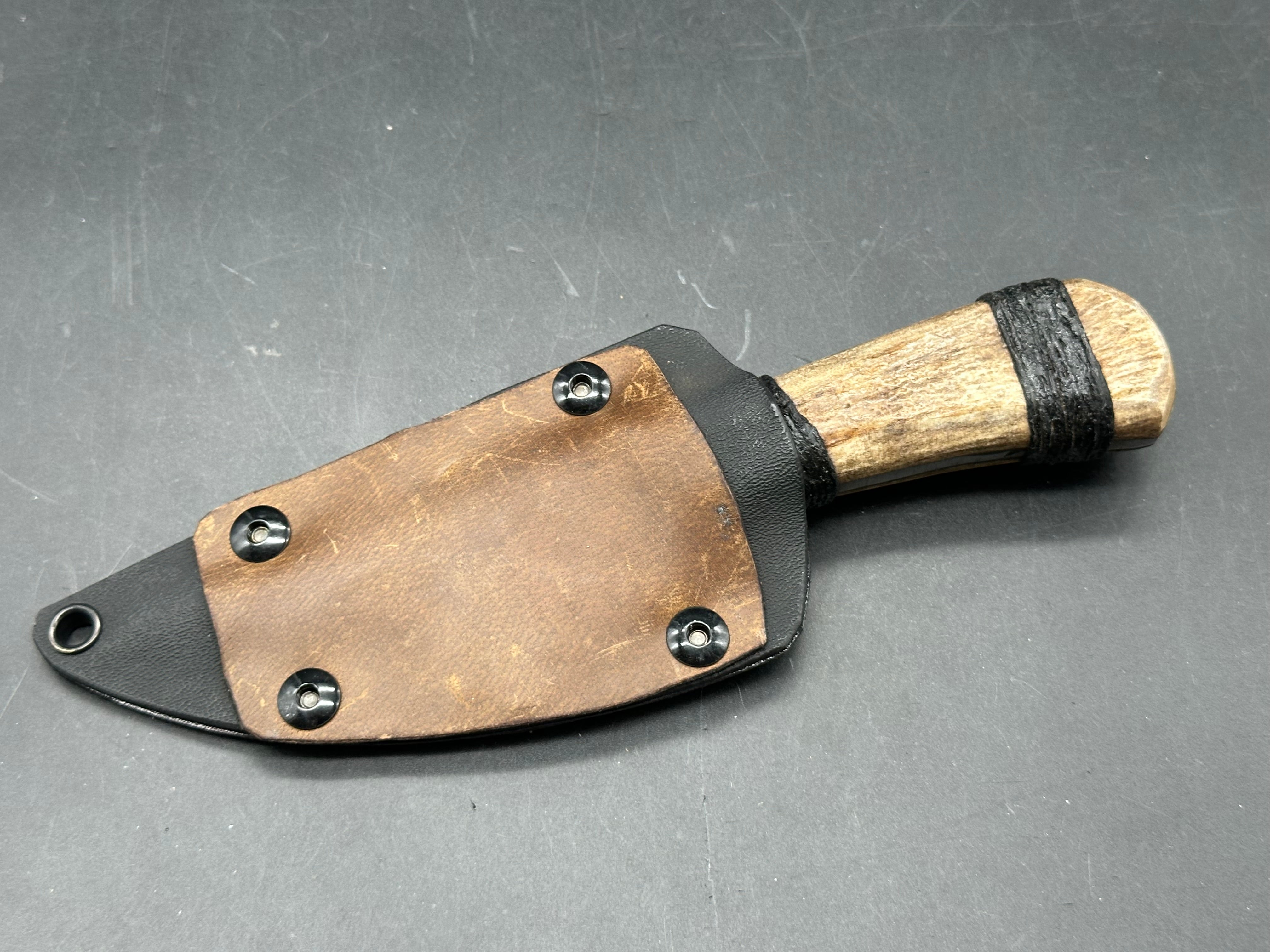 Polite But Dangerous - Moose Antler Roach Belly fixed blade