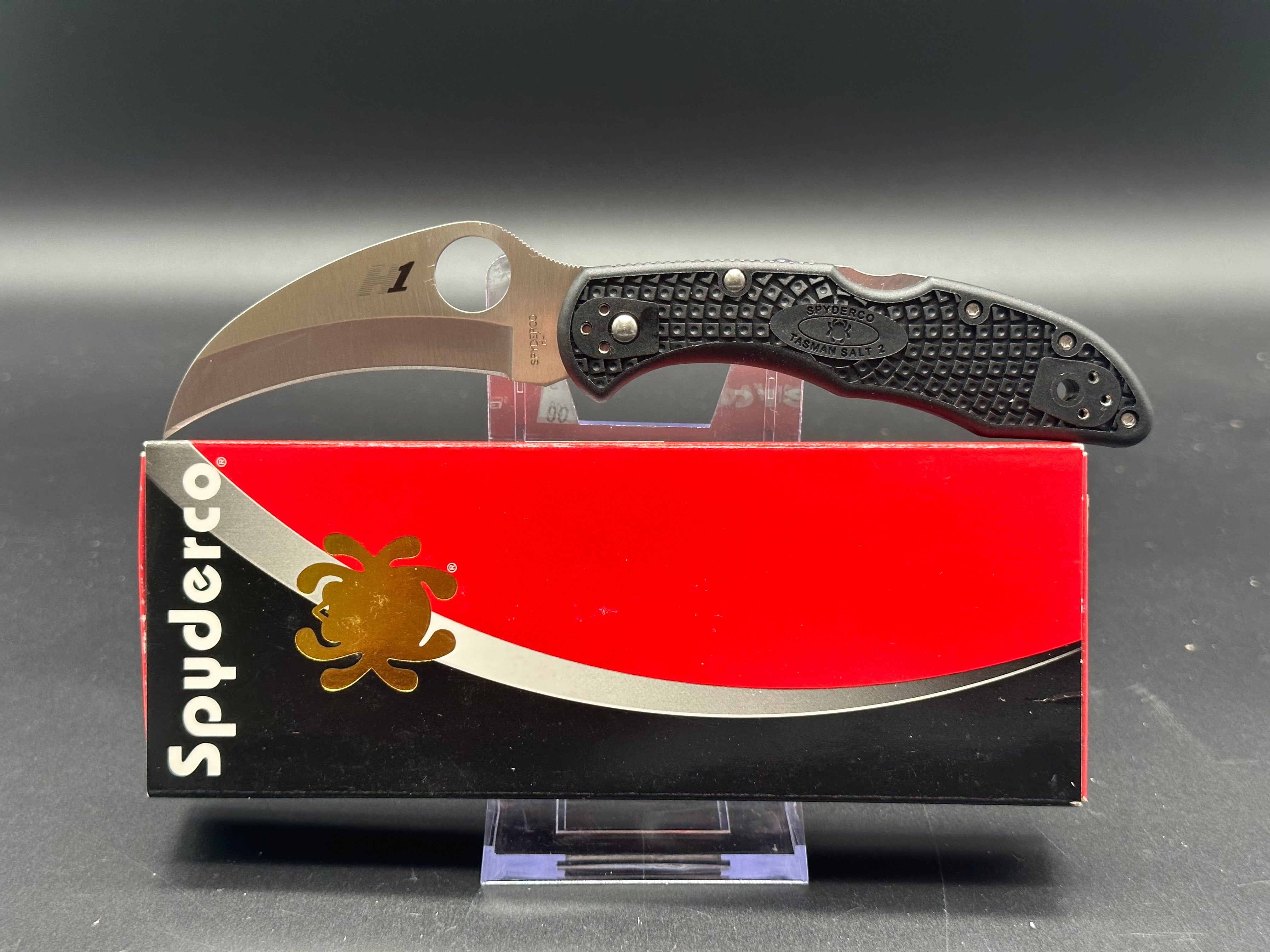 Spyderco C106PBK2 Tasman Salt 2