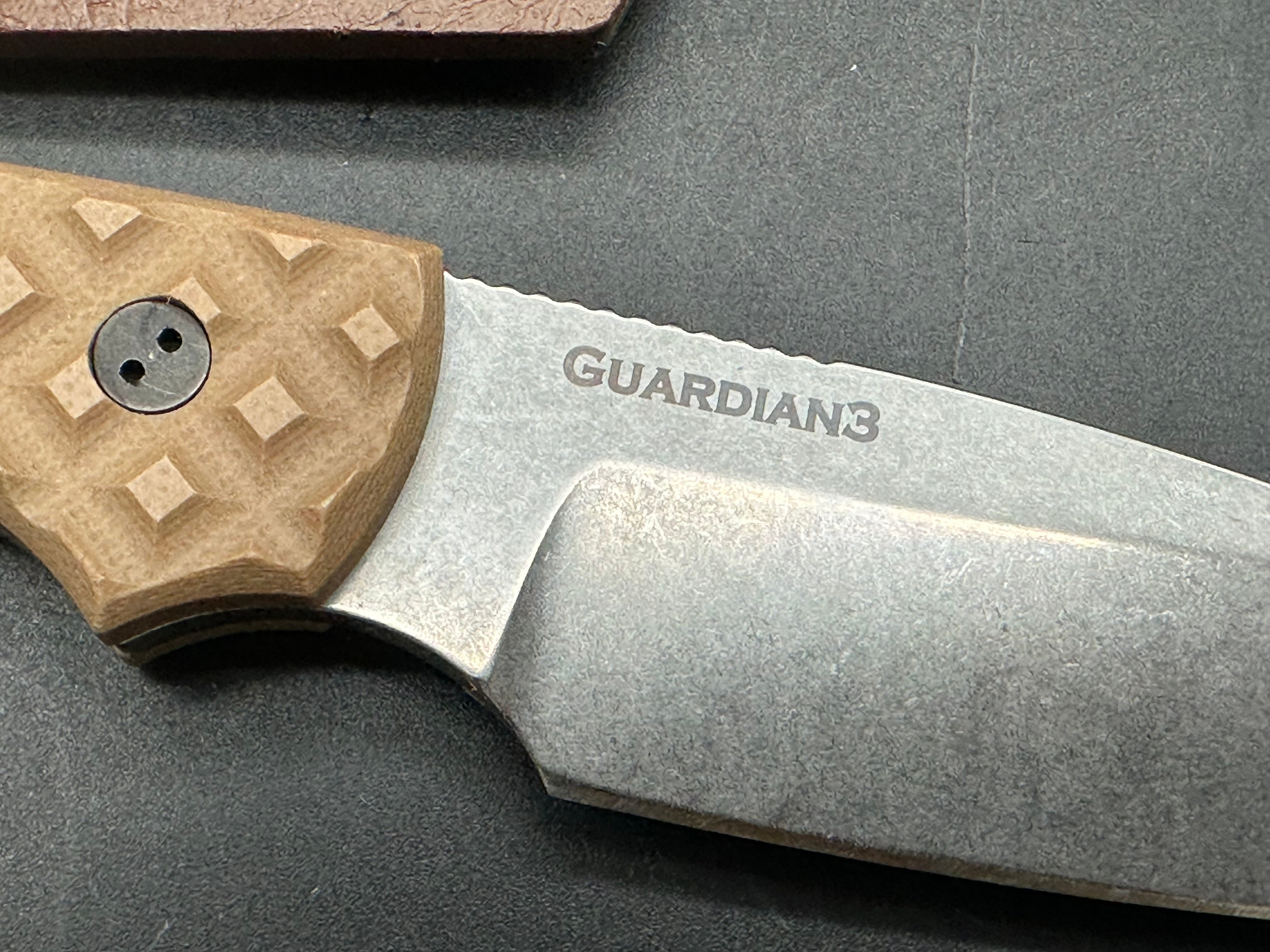 Bradford Guardian 3 in CPM-3V with tan G-10 flat scales and custom kydex sheath