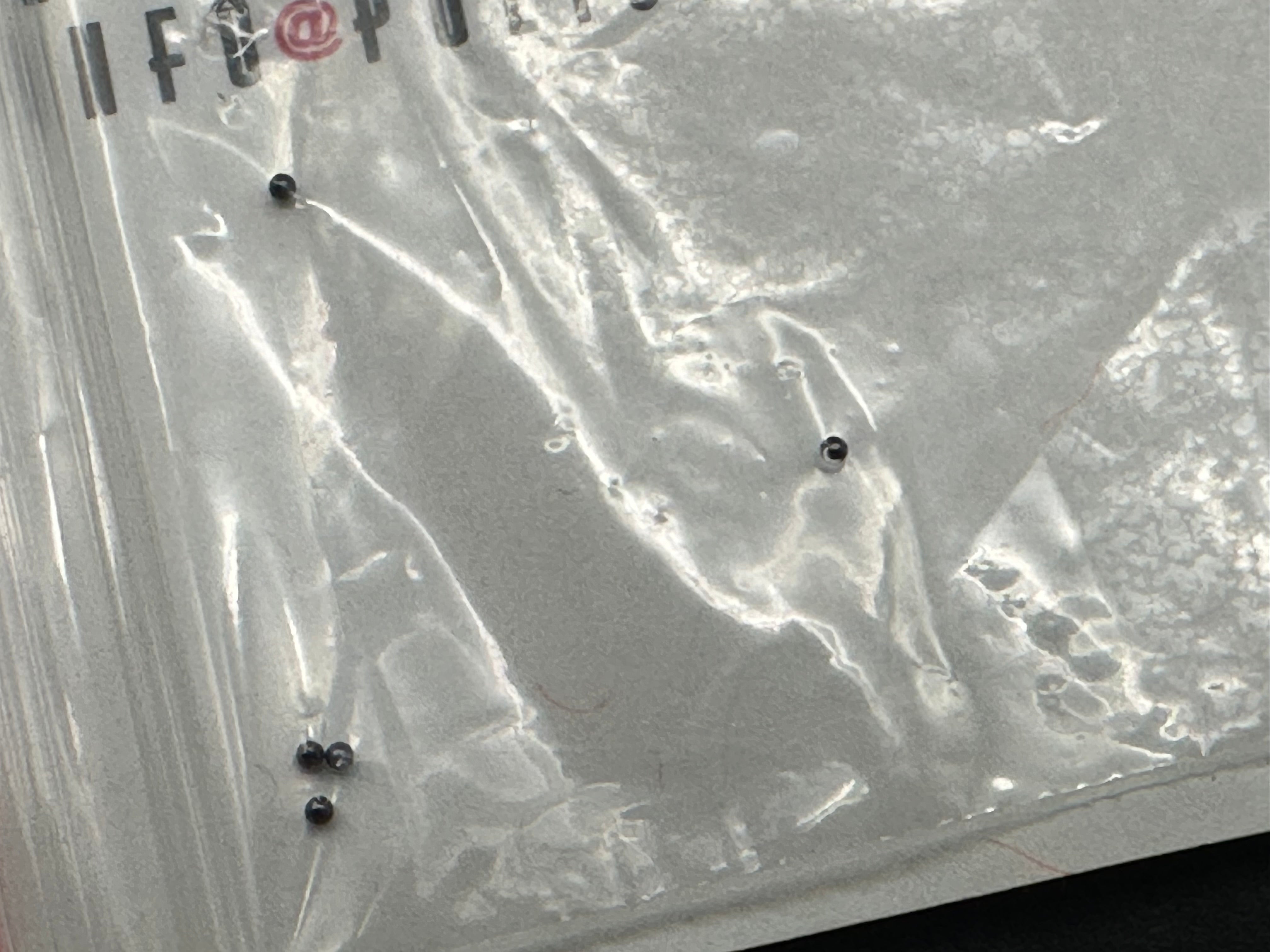 Herman Sting Custom knife