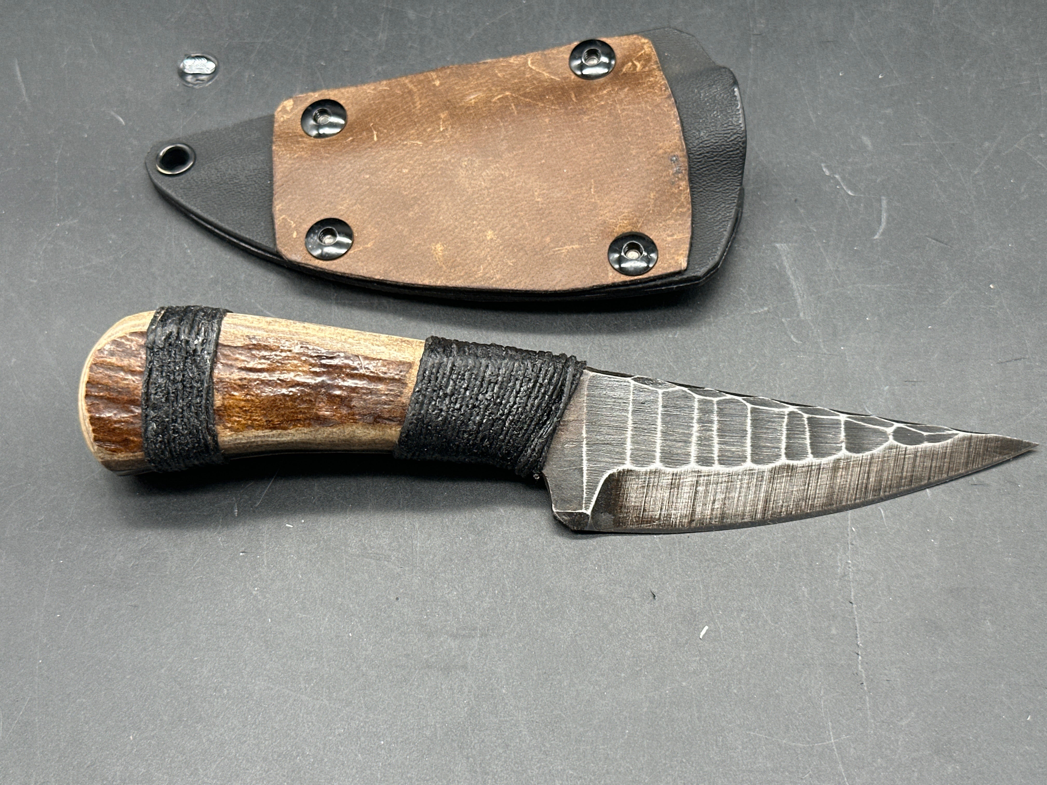 Polite But Dangerous - Moose Antler Roach Belly fixed blade