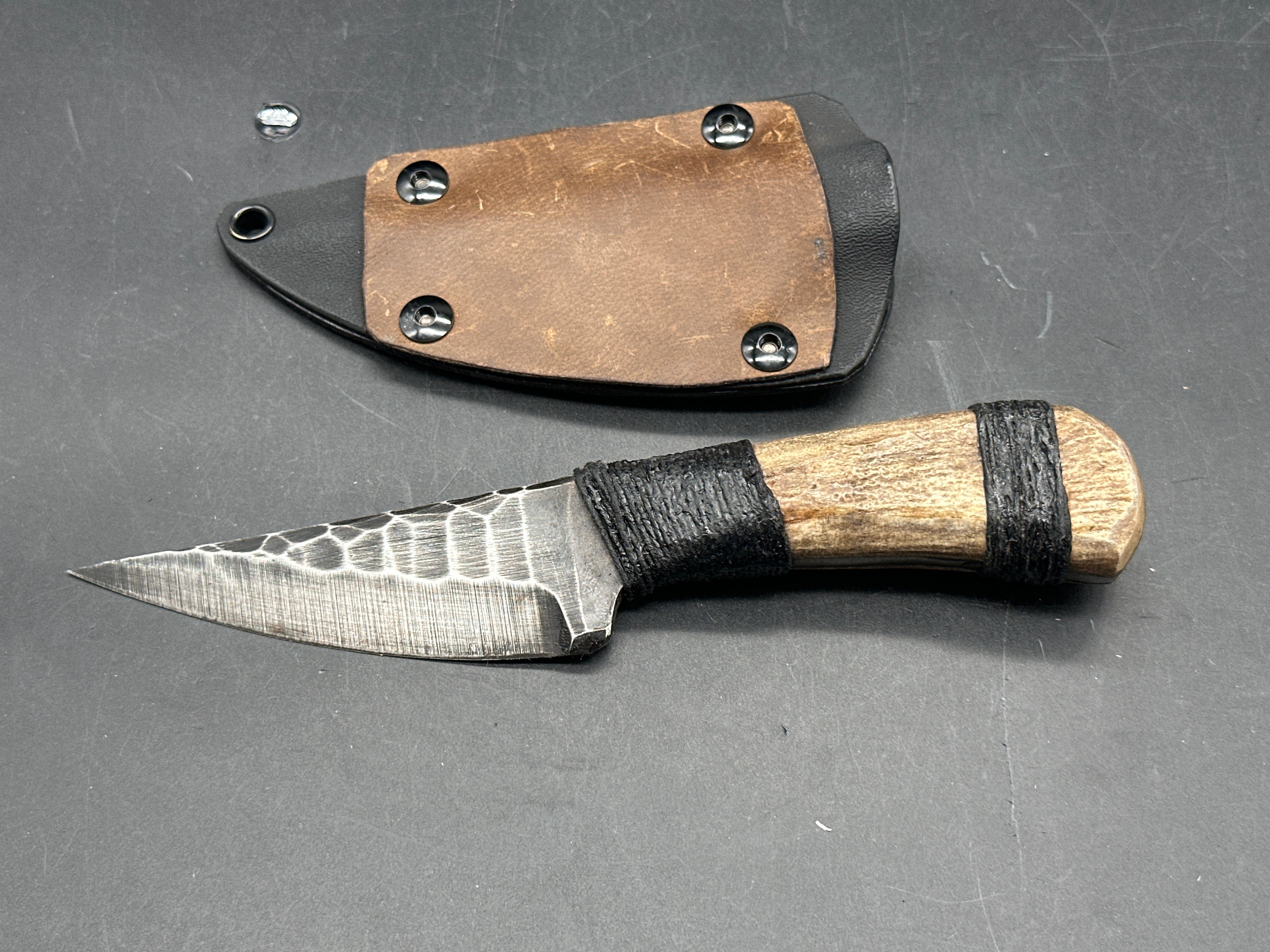 Polite But Dangerous - Moose Antler Roach Belly fixed blade