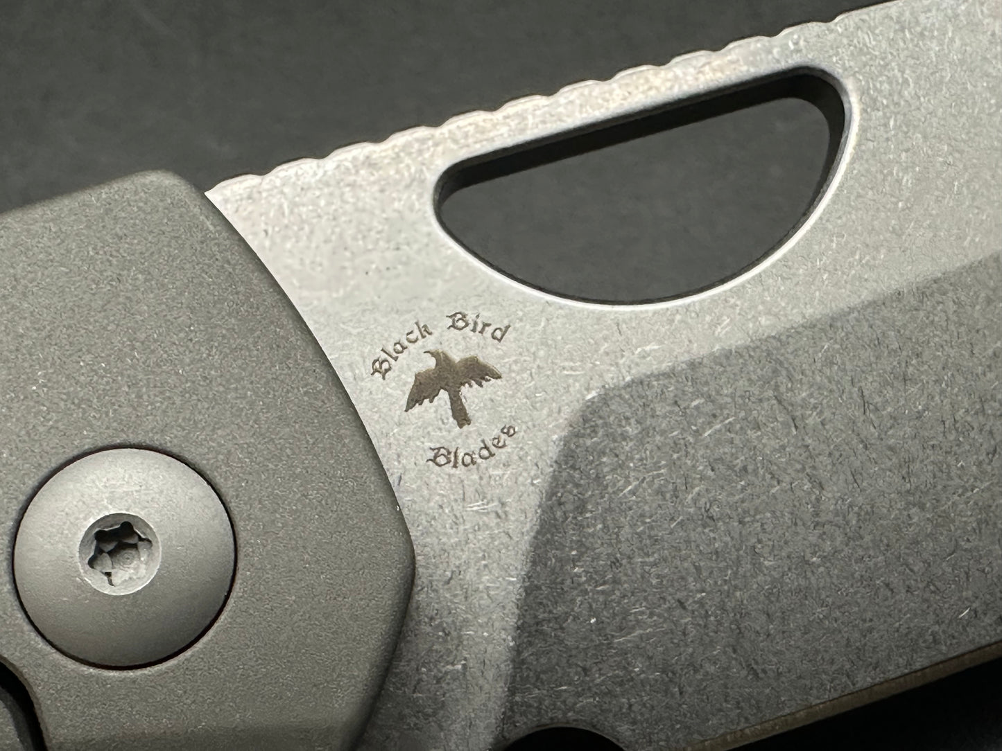 KIZER SPARROW GRAY TITANIUM HANDLE S35VN SHEEPSFOOT