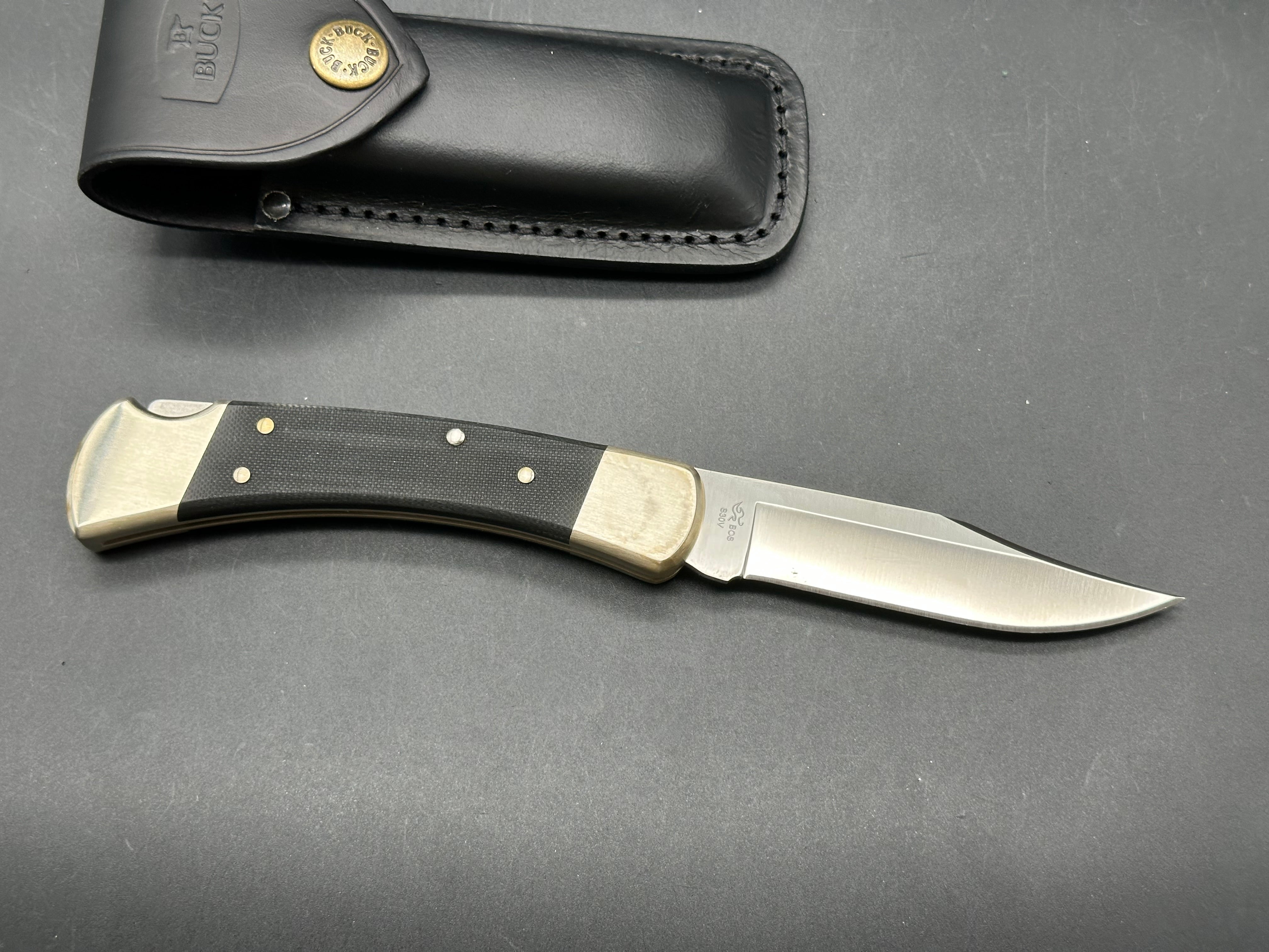 Buck 110, black G-10 scales, nickel bolsters, with scabbard