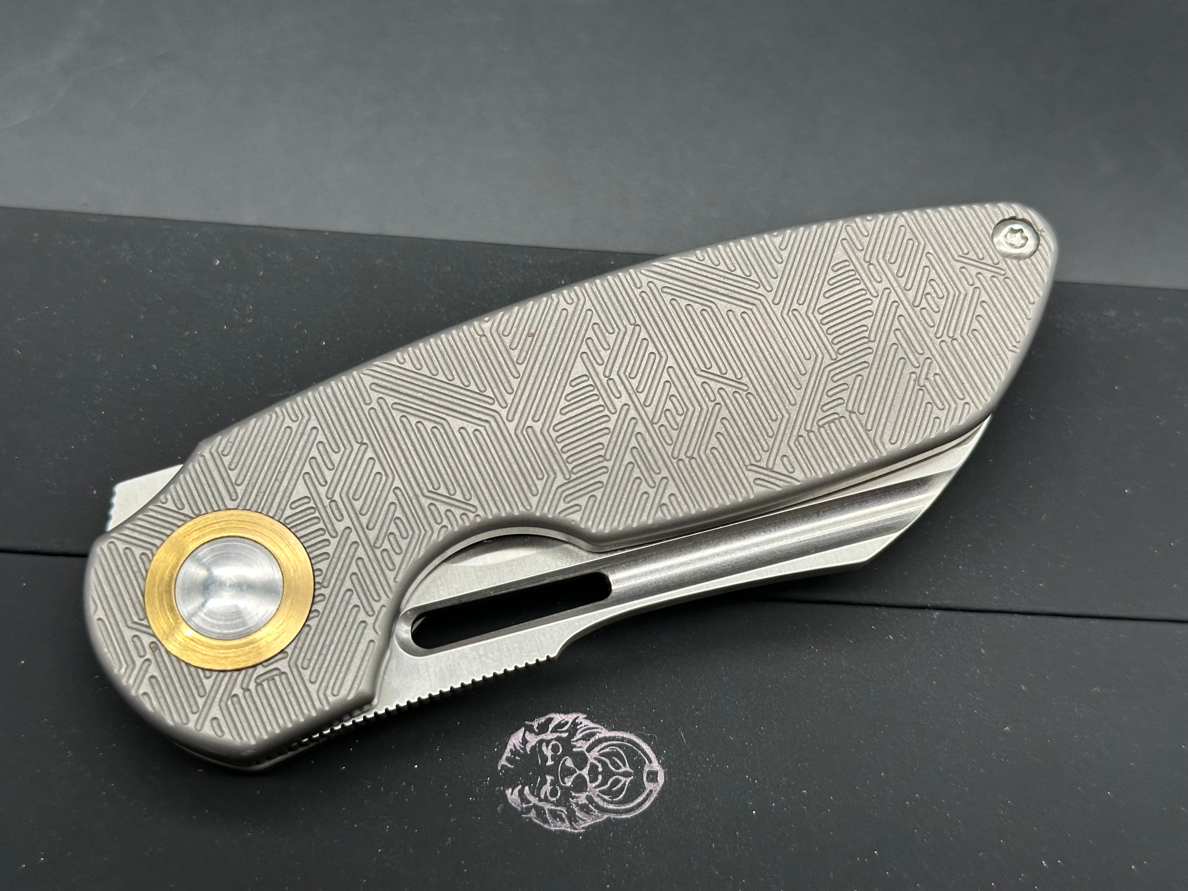 Kizer October titanium handle w/20CV blade