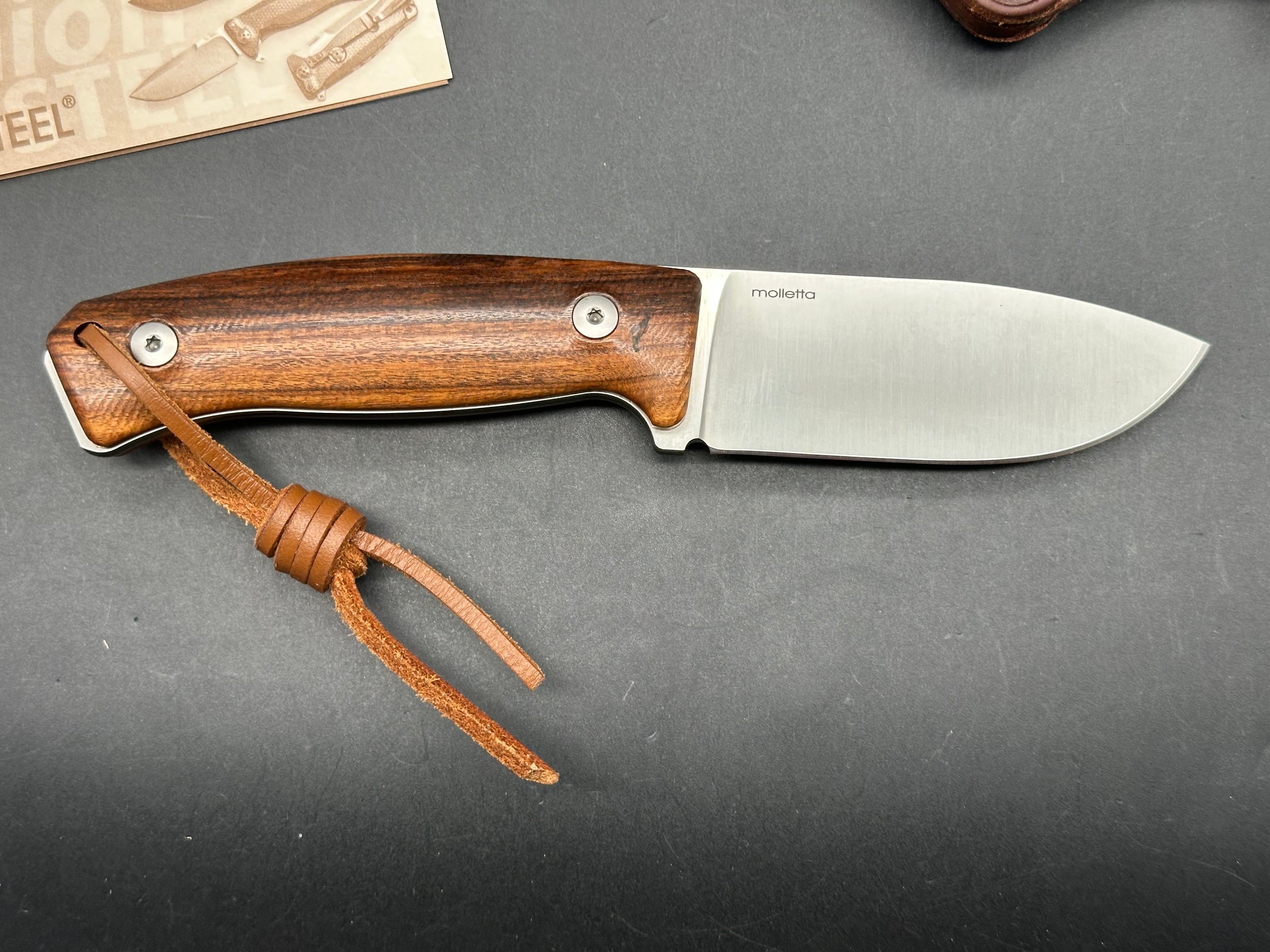 LionSteel M2M Fixed Blade Knife Santos Wood (3.5" Satin M390)