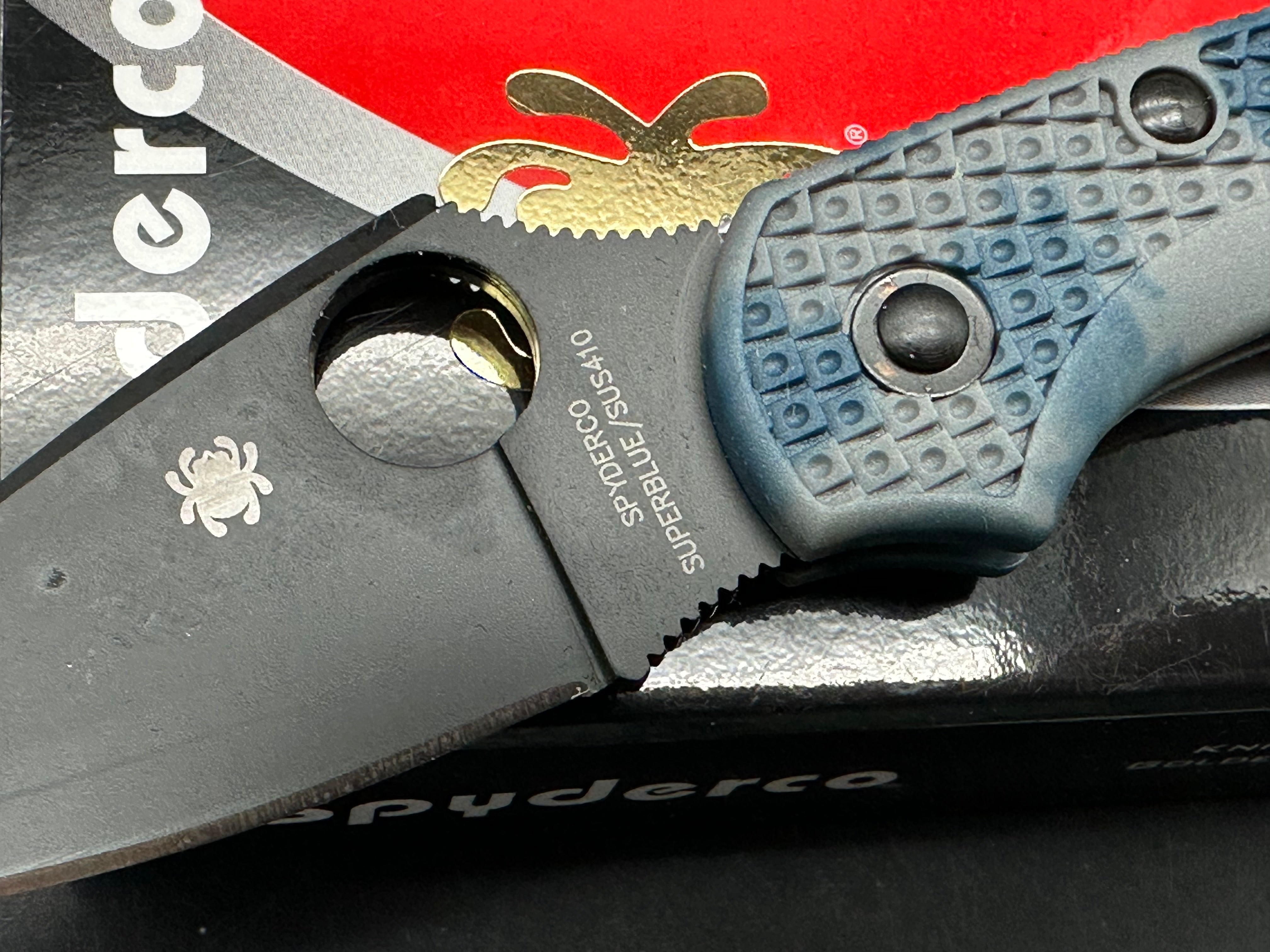 Spyderco Dragonfly Superblue Black blade