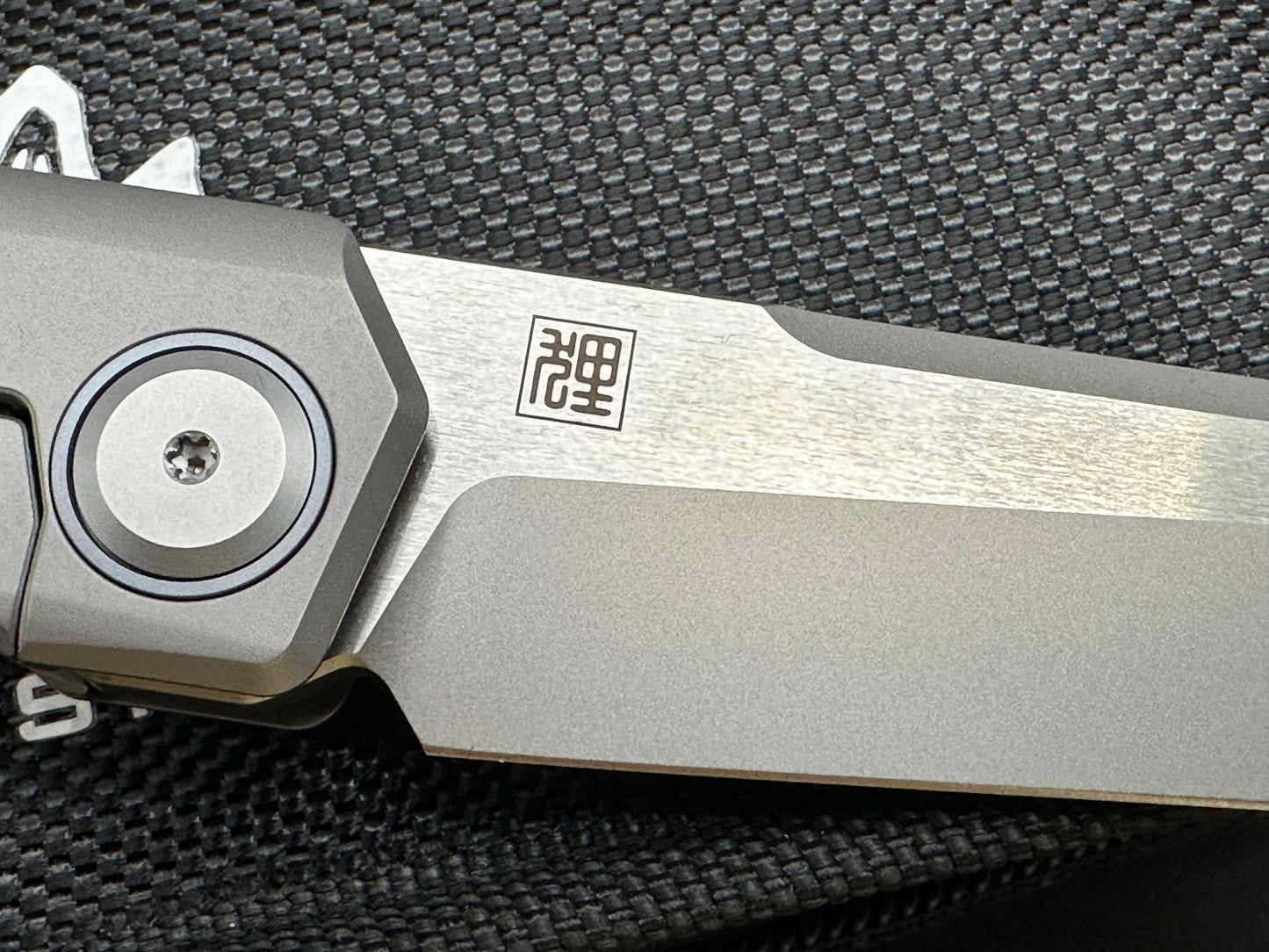 Maxace - Raccoon Dog/Grey Ti Handle/Tanto/