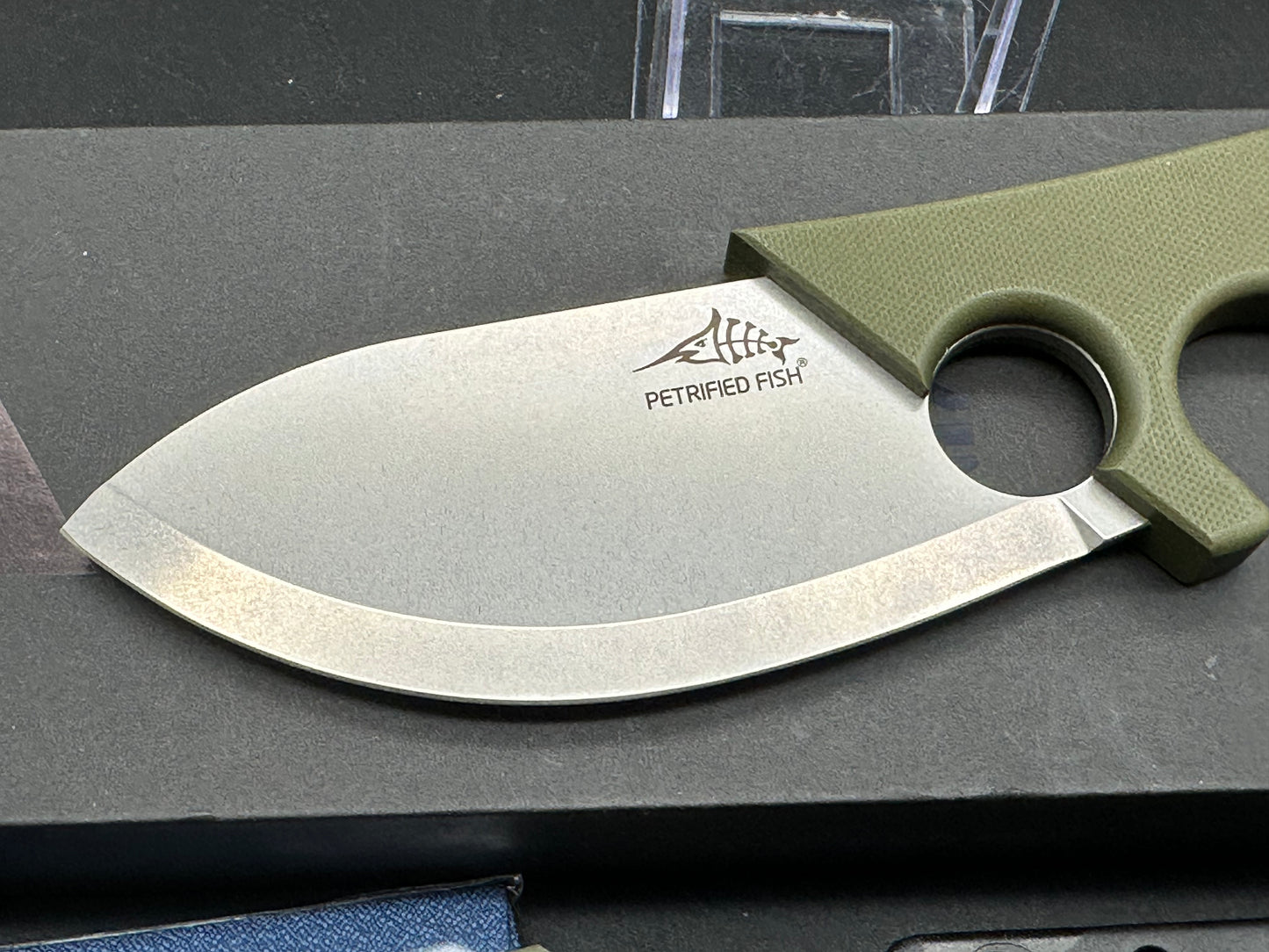 PETRIFIED FISH PFH01 EEL FIXED BLADE KNIFE GREEN G10 HANDLE 9CR18MOV