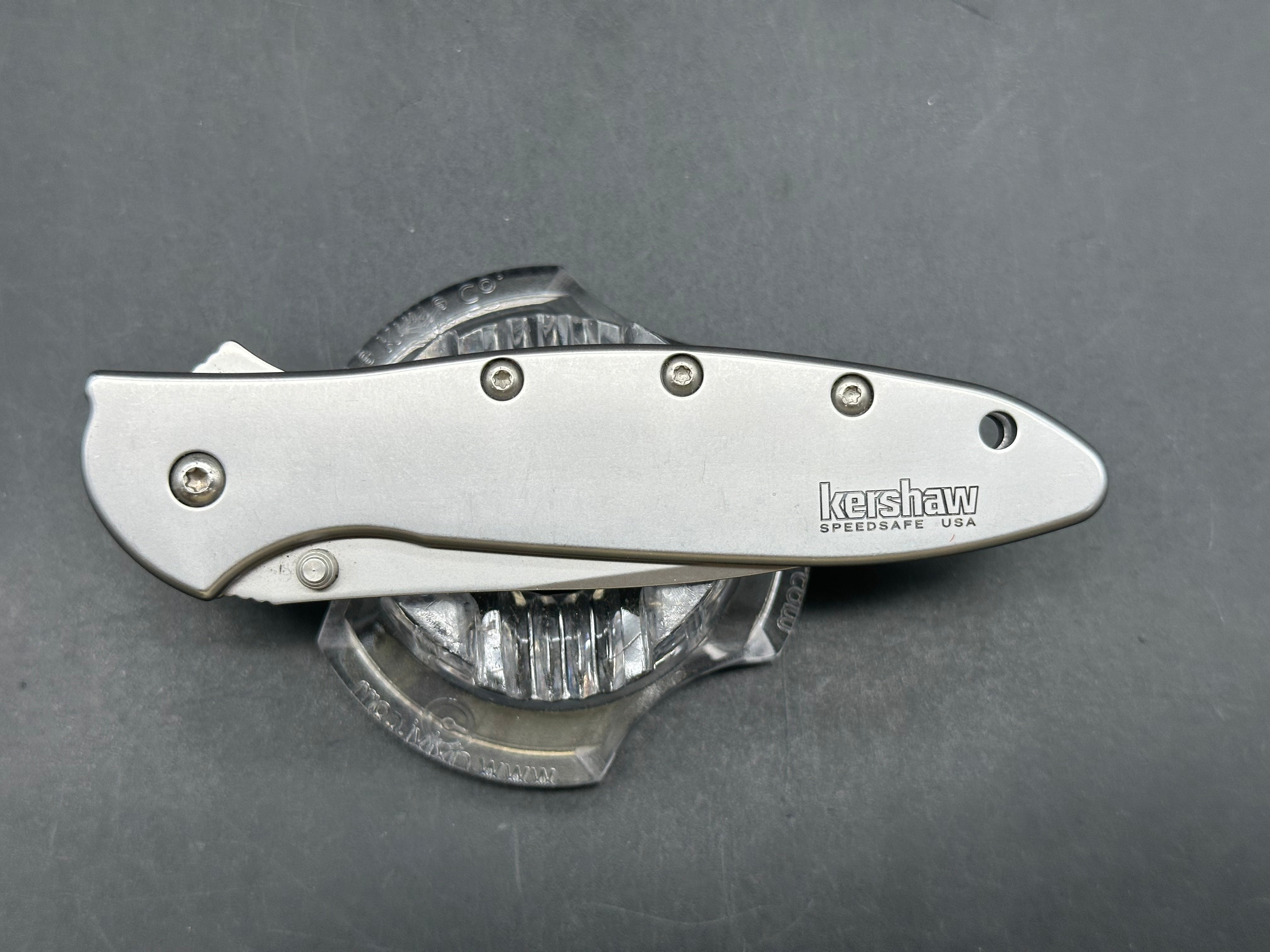 Kershaw Leek Assisted framelock - 14C28N