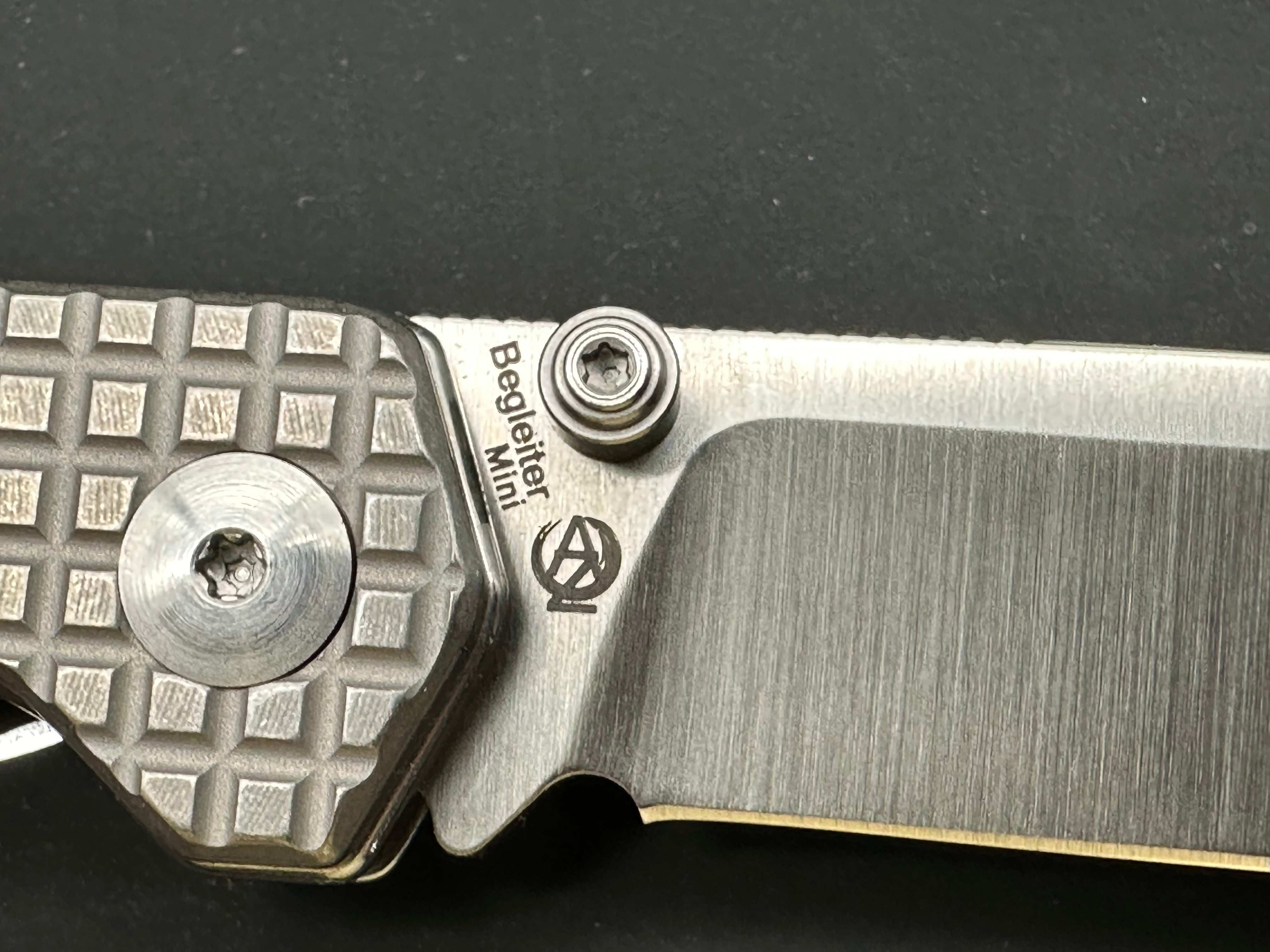 Kizer Begleiter Mini titanium frame lock folder w/M390 blade