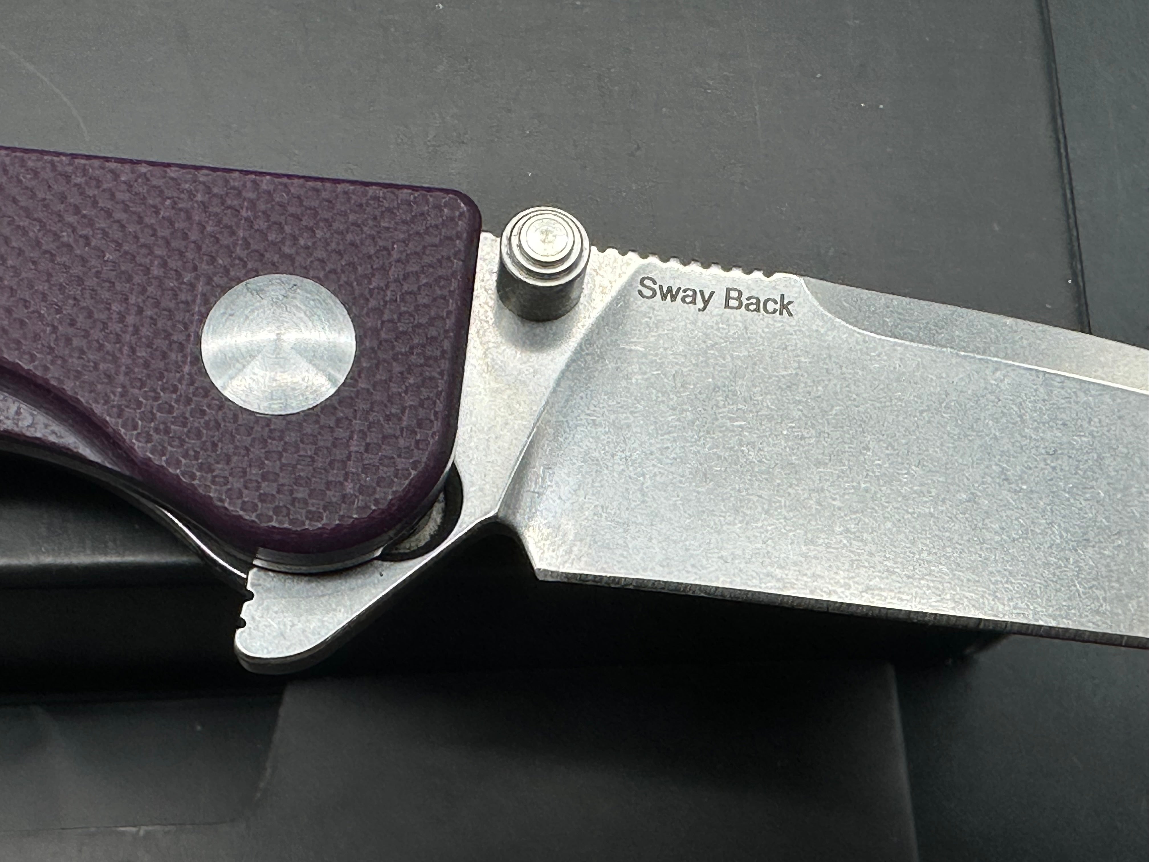 Kizer Swaggs Swayback Liner Lock Knife Purple G-10 (3" Stonewash)