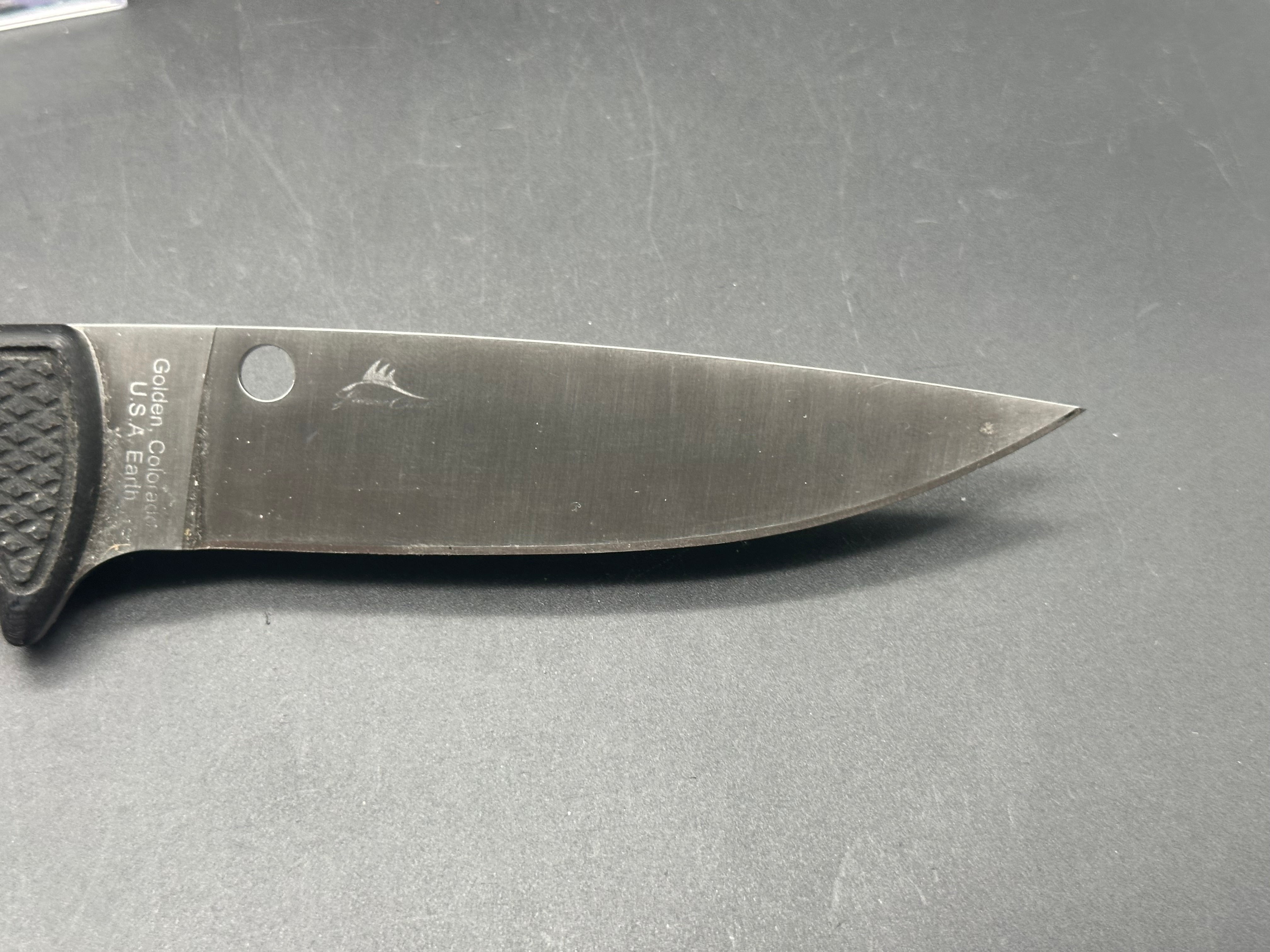 Spyderco Waterway Fixed blade LC200N blade