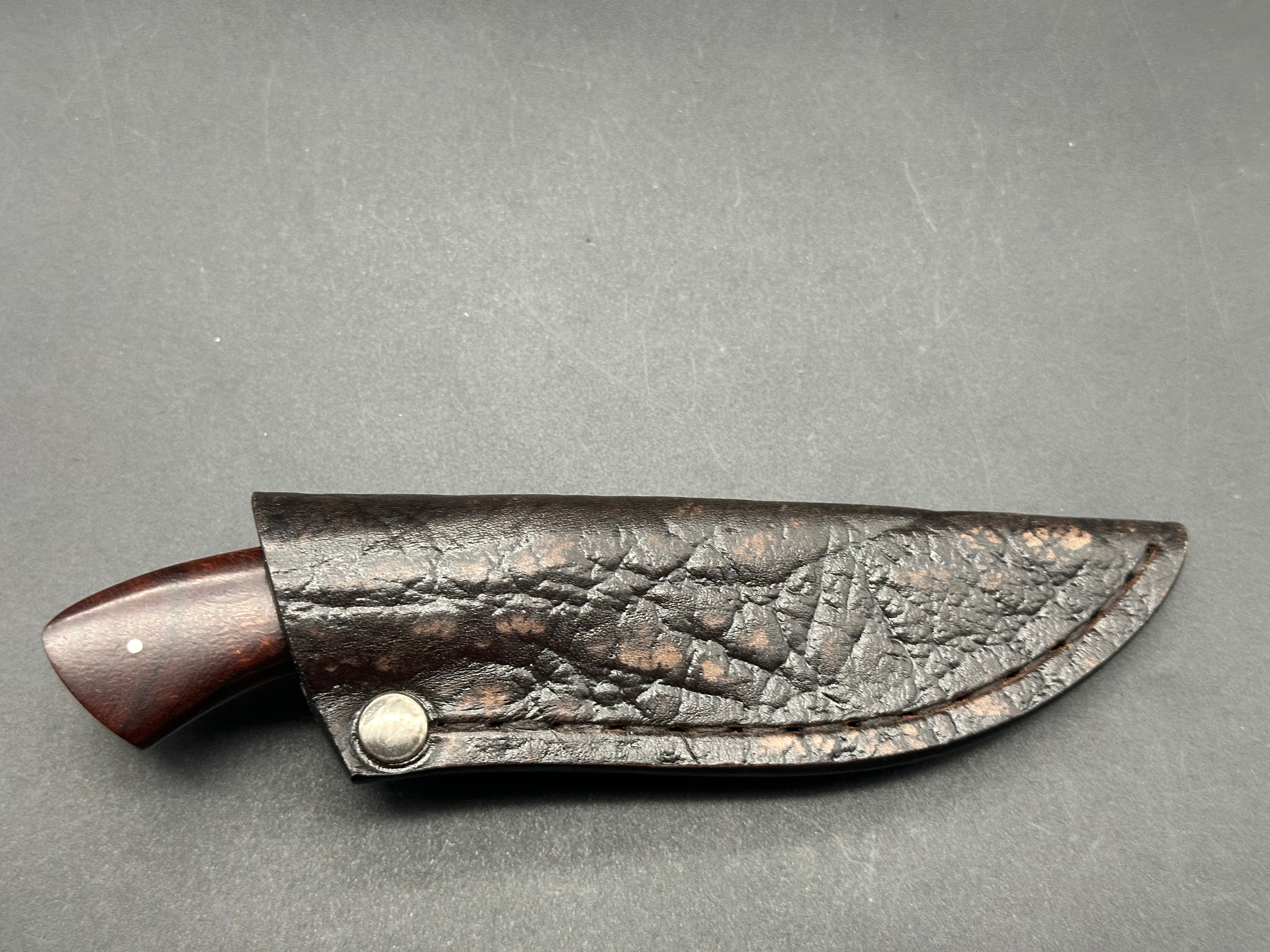 Arno Bernard Gecko - walnut handle/alligator sheath