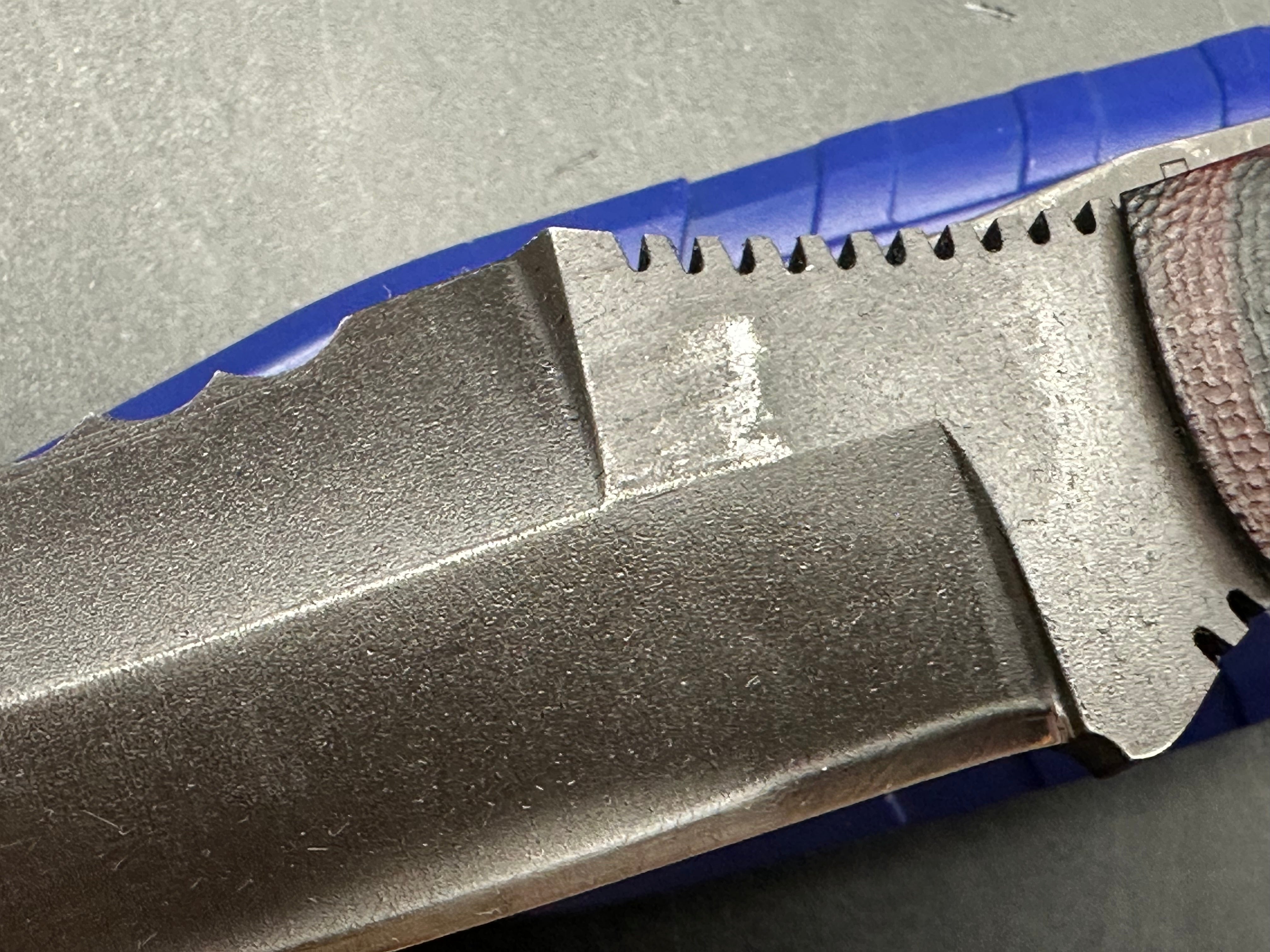 Dynamis Alliance - Razorback fixed blade W/trainer