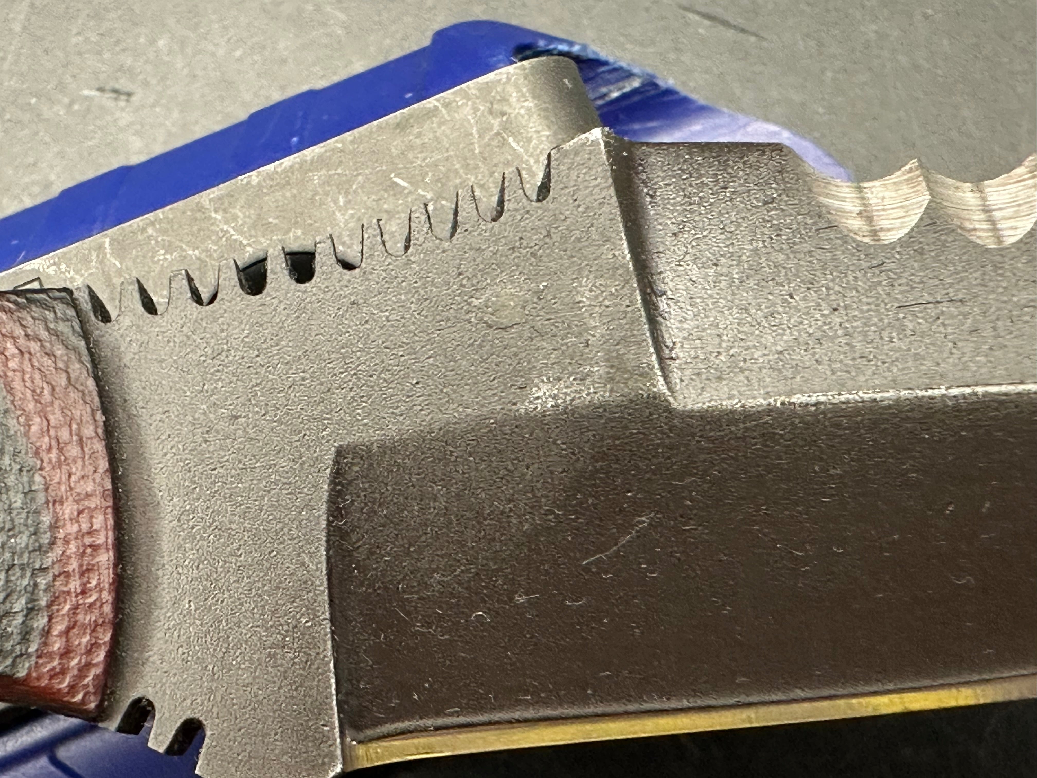 Dynamis Alliance - Razorback fixed blade W/trainer