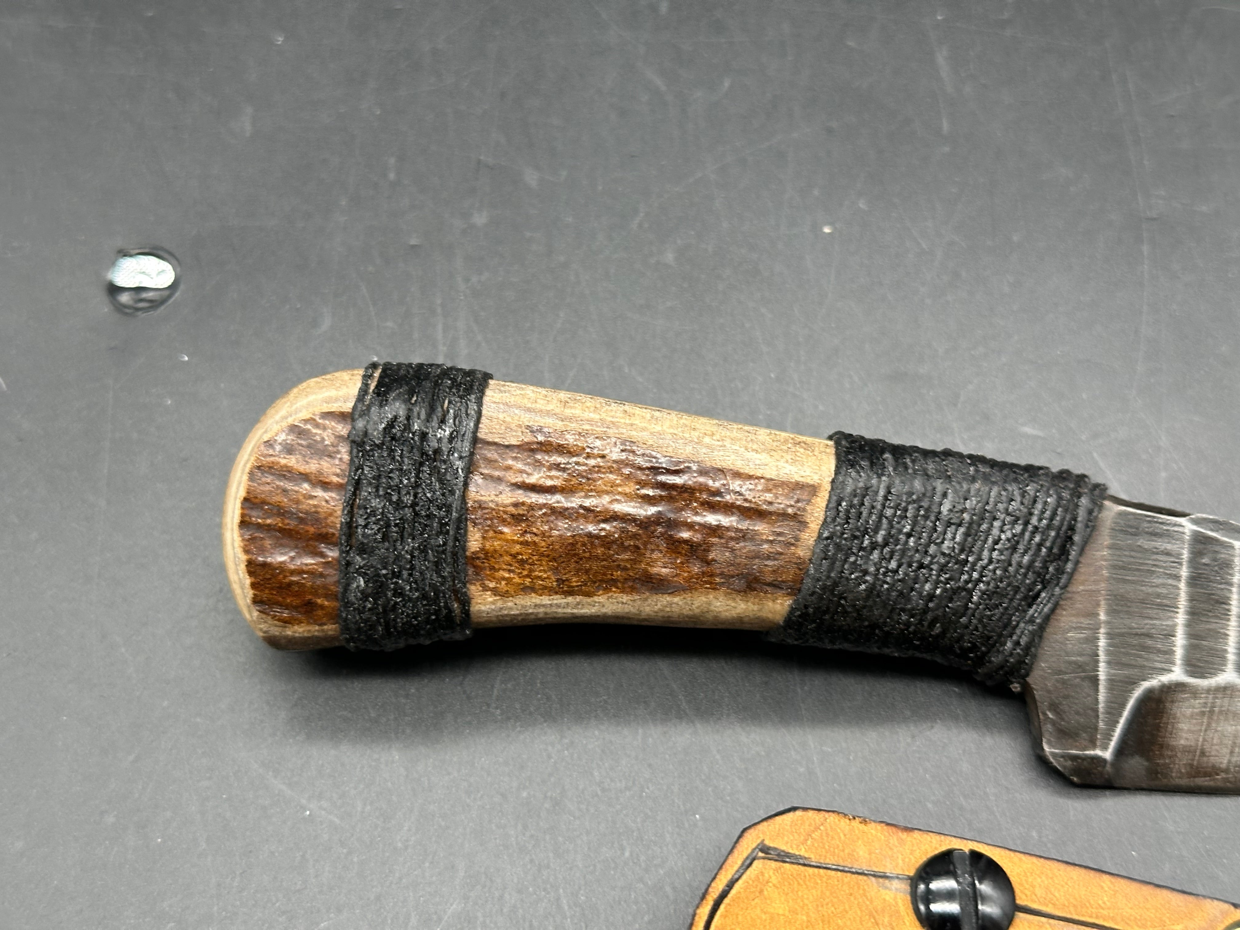 Polite But Dangerous - Moose Antler Roach Belly fixed blade