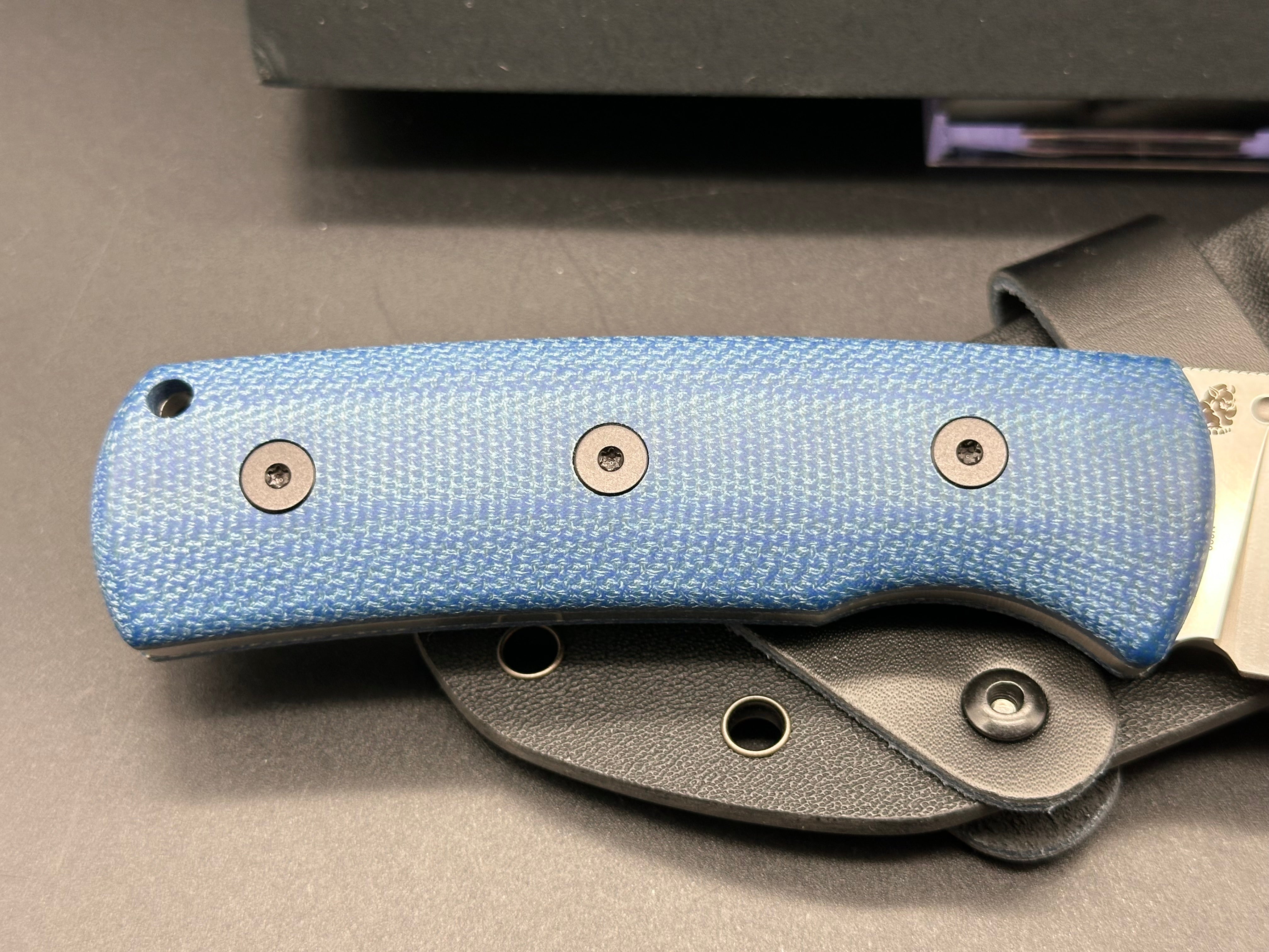 PETRIFIED FISH BELUGA FIXED BLADE KNIFE BLUE MICARTA HANDLE N690