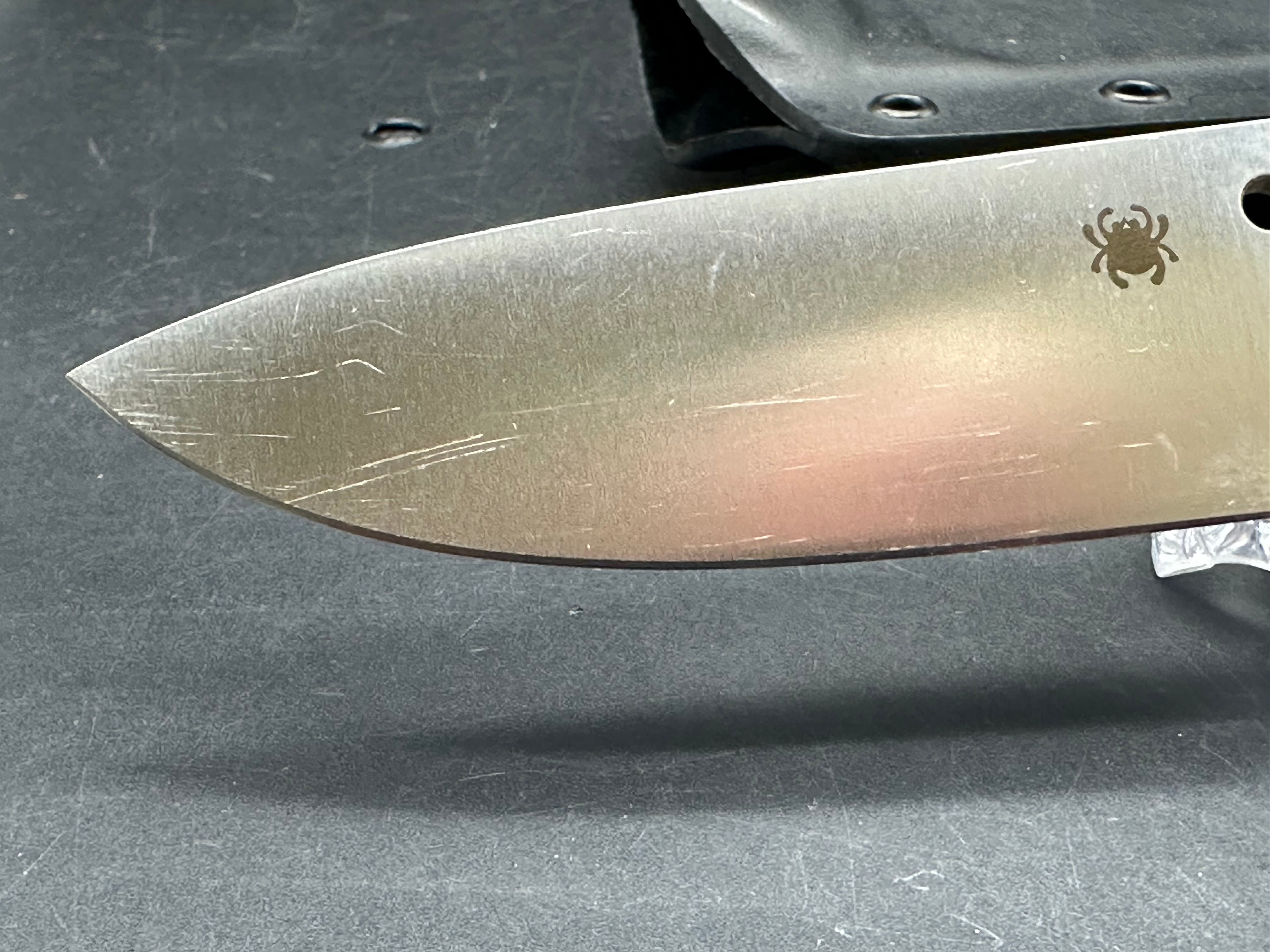 Spyderco Bill Moran 3.875" VG10 Satin Drop Point Blade, FRN Handle, Boltaron Sheath