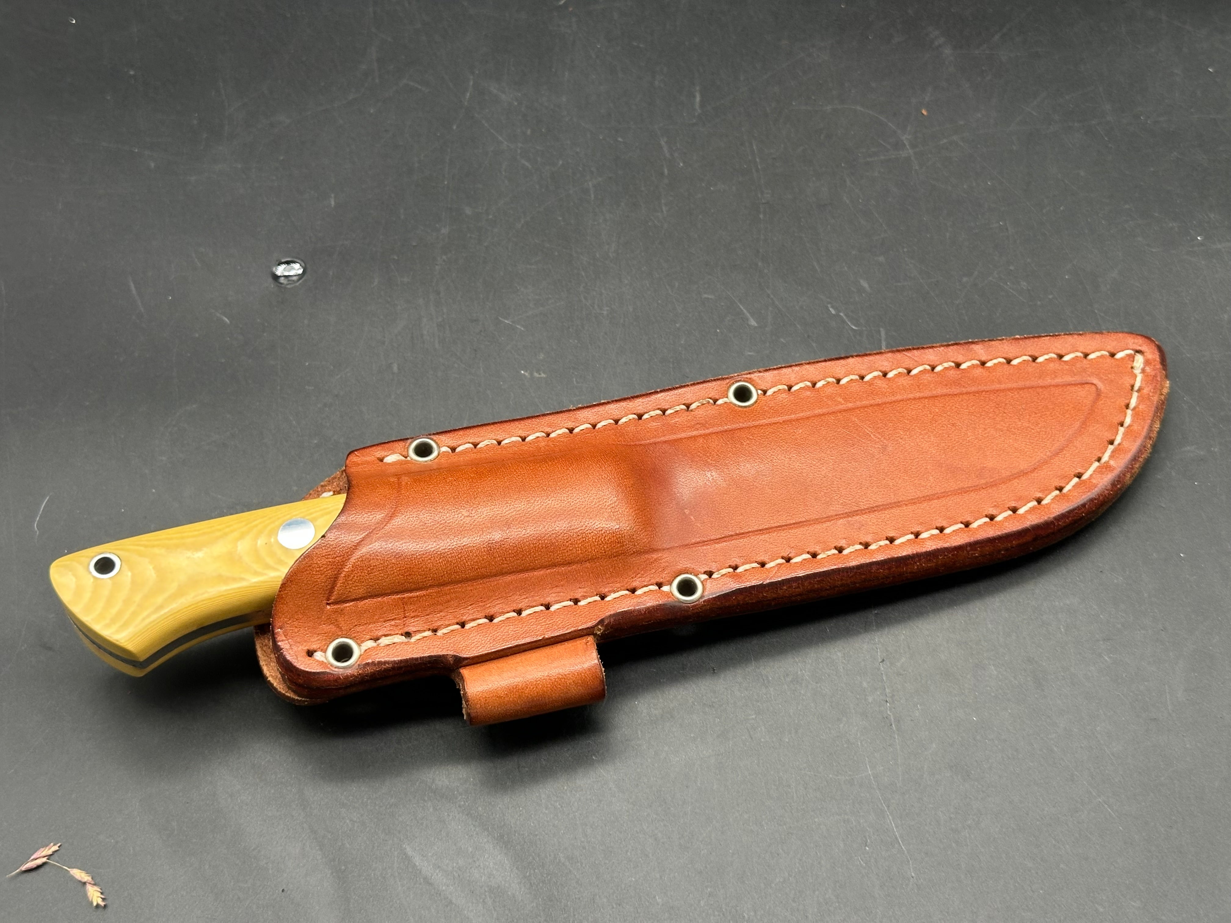 Bark River knives Aurora? CPM-3V