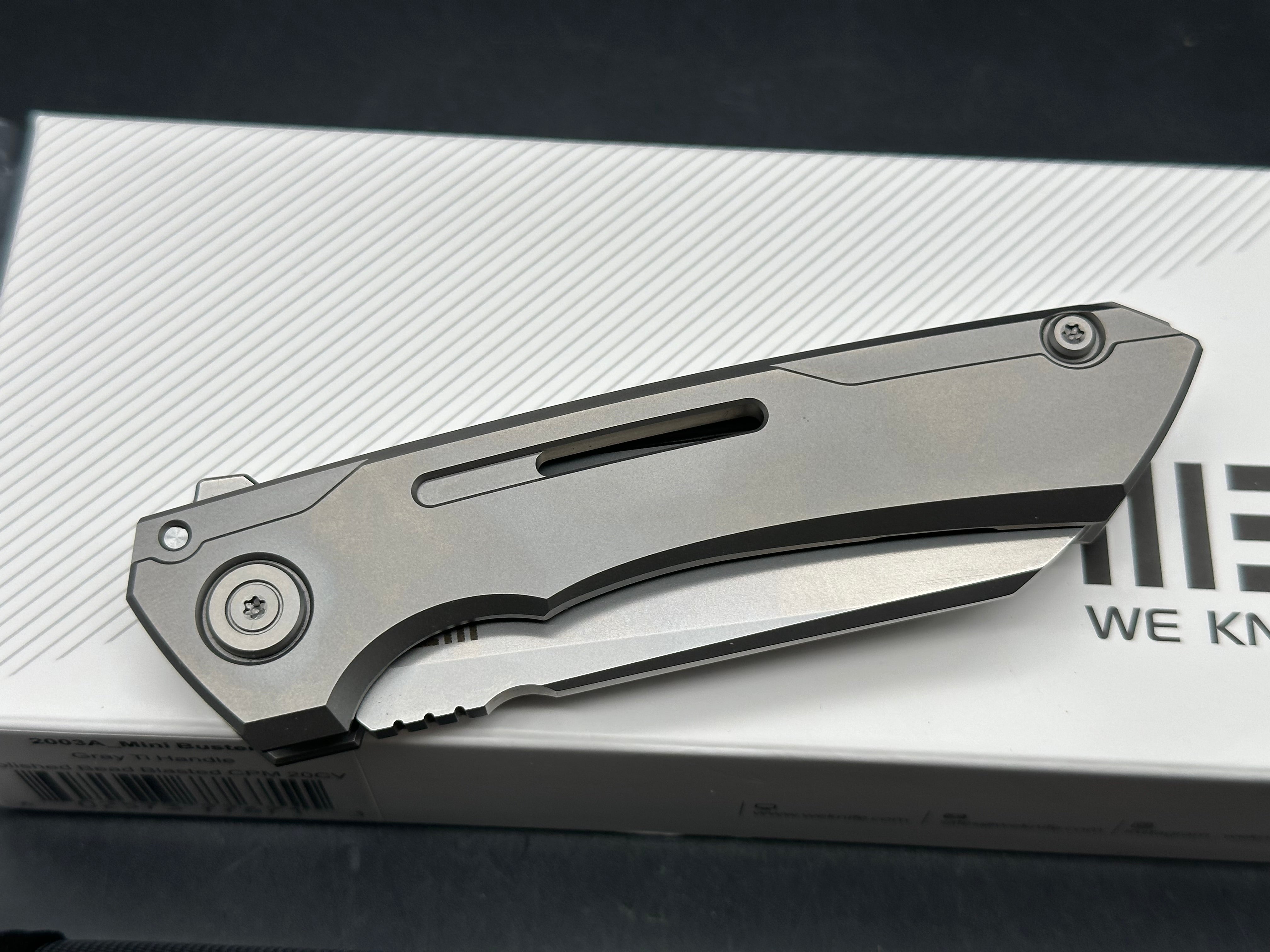 We Mini Snecx Buster: 3.43 polished and bead blasted CPM-20CV blade, flat grind. Caged double row ceramic ball bearings