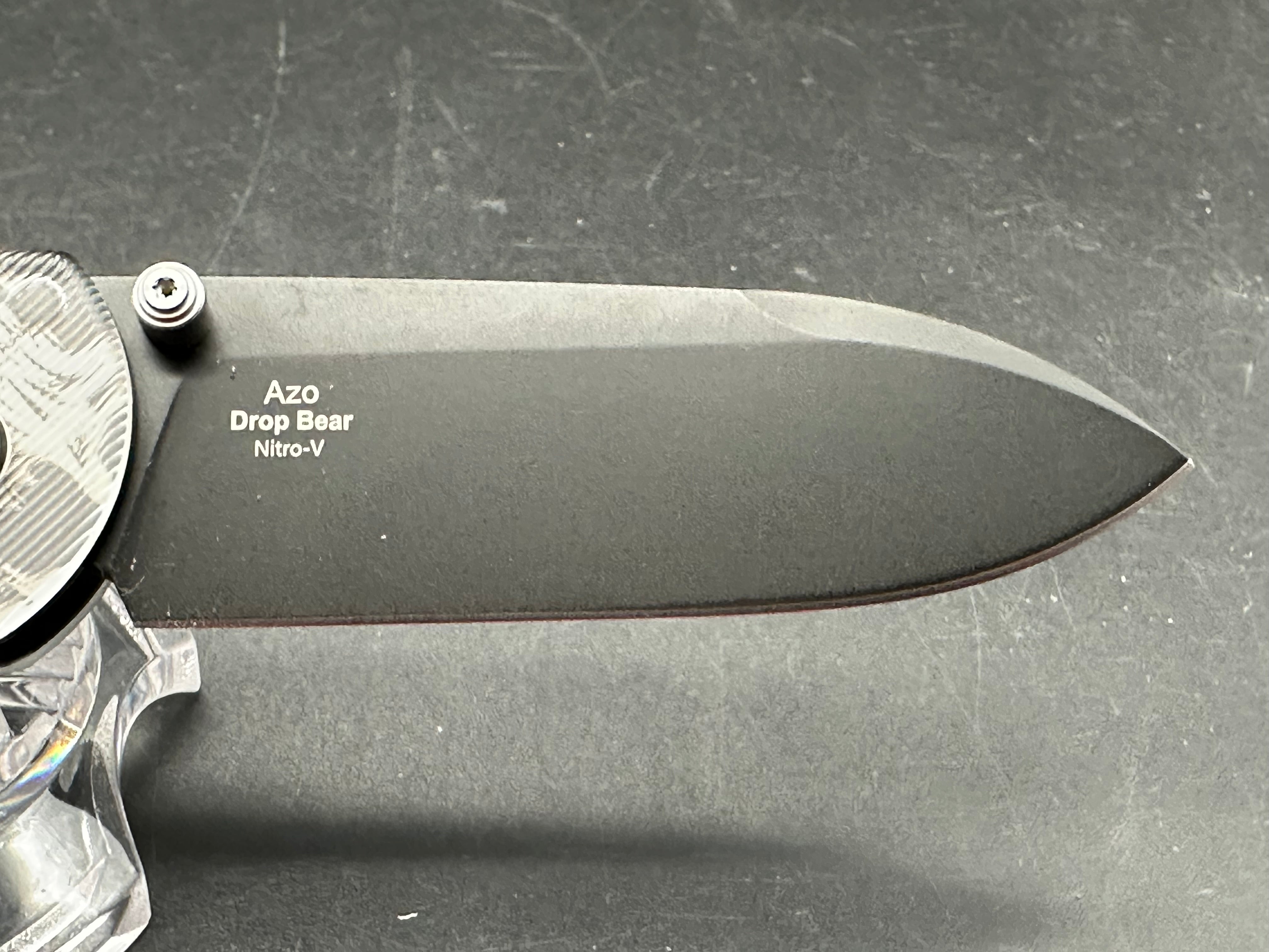 Kizer Drop Bear Laser engraved skull acrylic scales Nitro-V