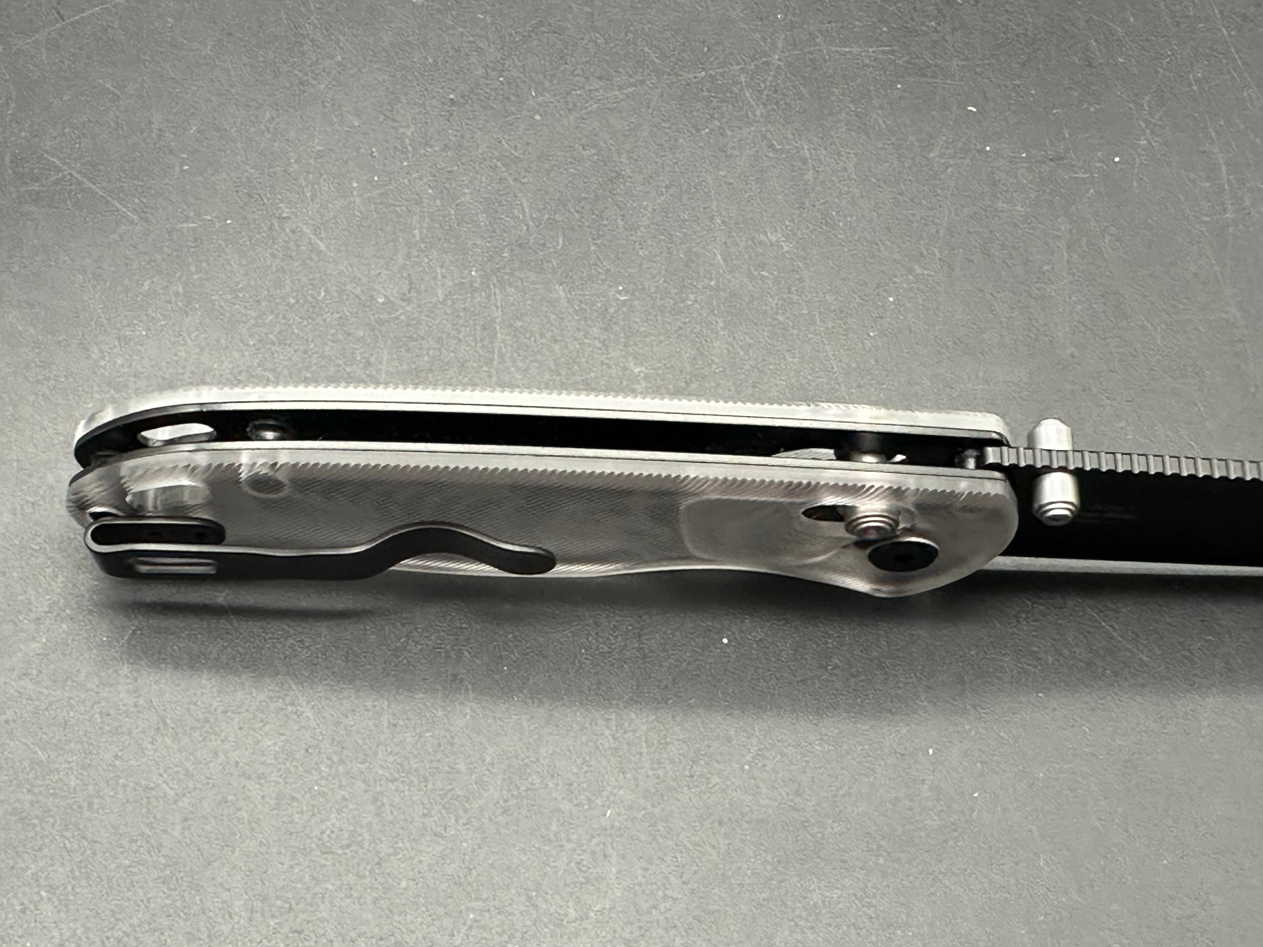 Kizer Drop Bear Laser engraved skull acrylic scales Nitro-V