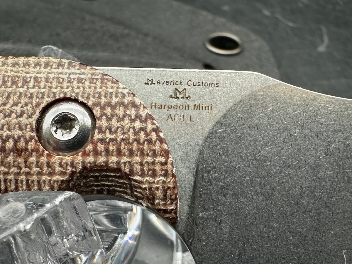 Kizer Mini Harpoon fixed blade knife /AEB-L blade