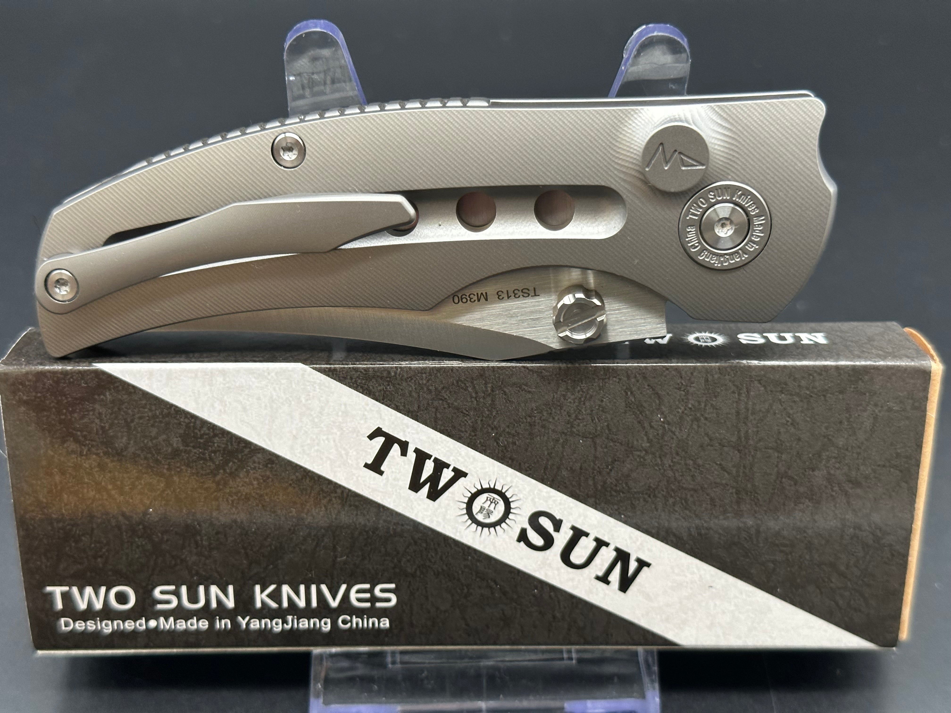 TwoSun TS313