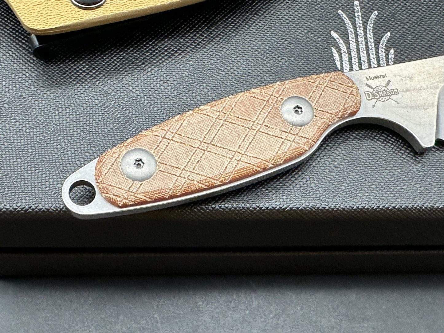 Kizer Muskrat Fixed blade knife