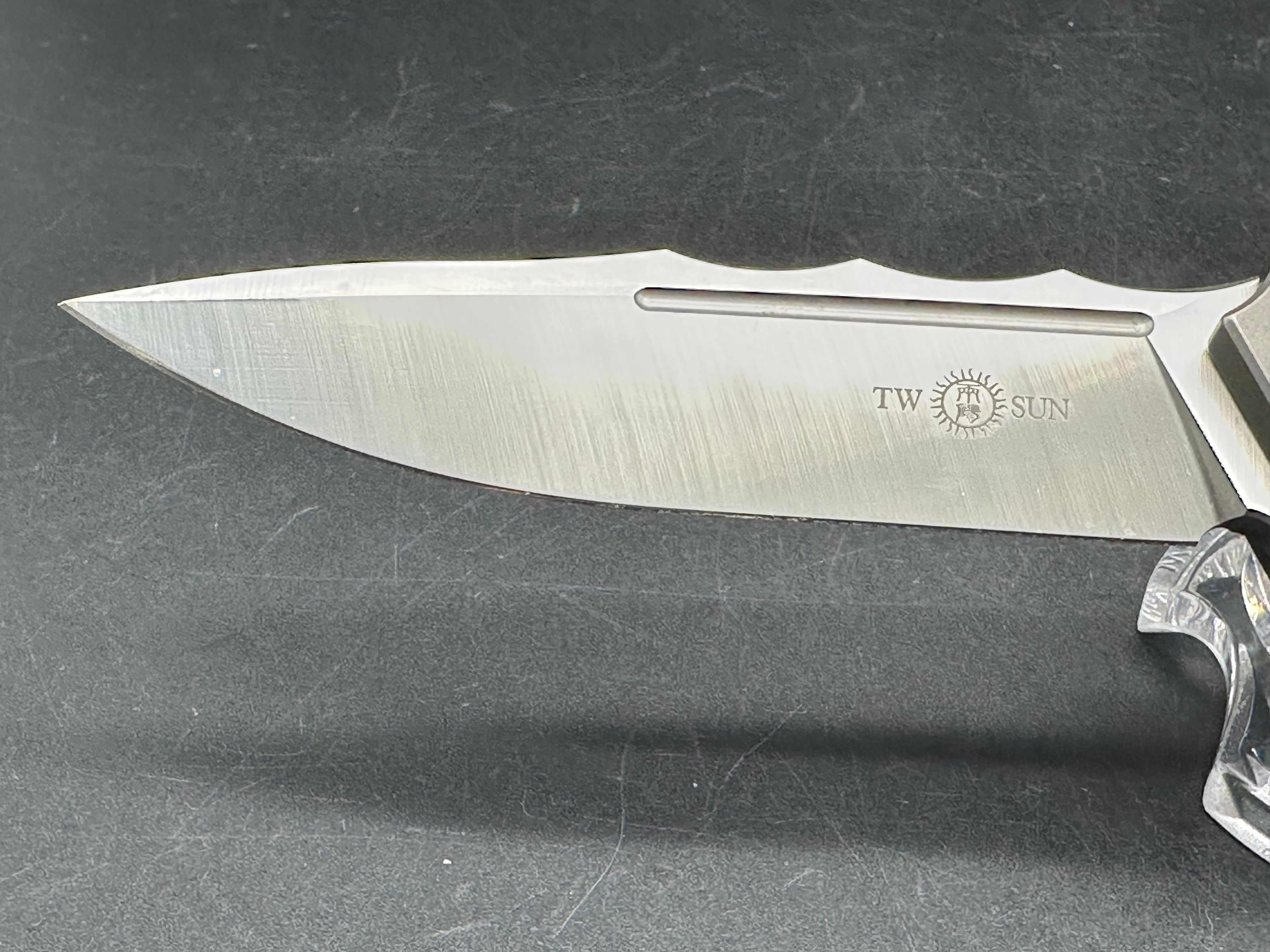 TwoSun TS165 Wong design. 3.5 inch satin finish, flat grind Bohler M390 blade. Titanium frame