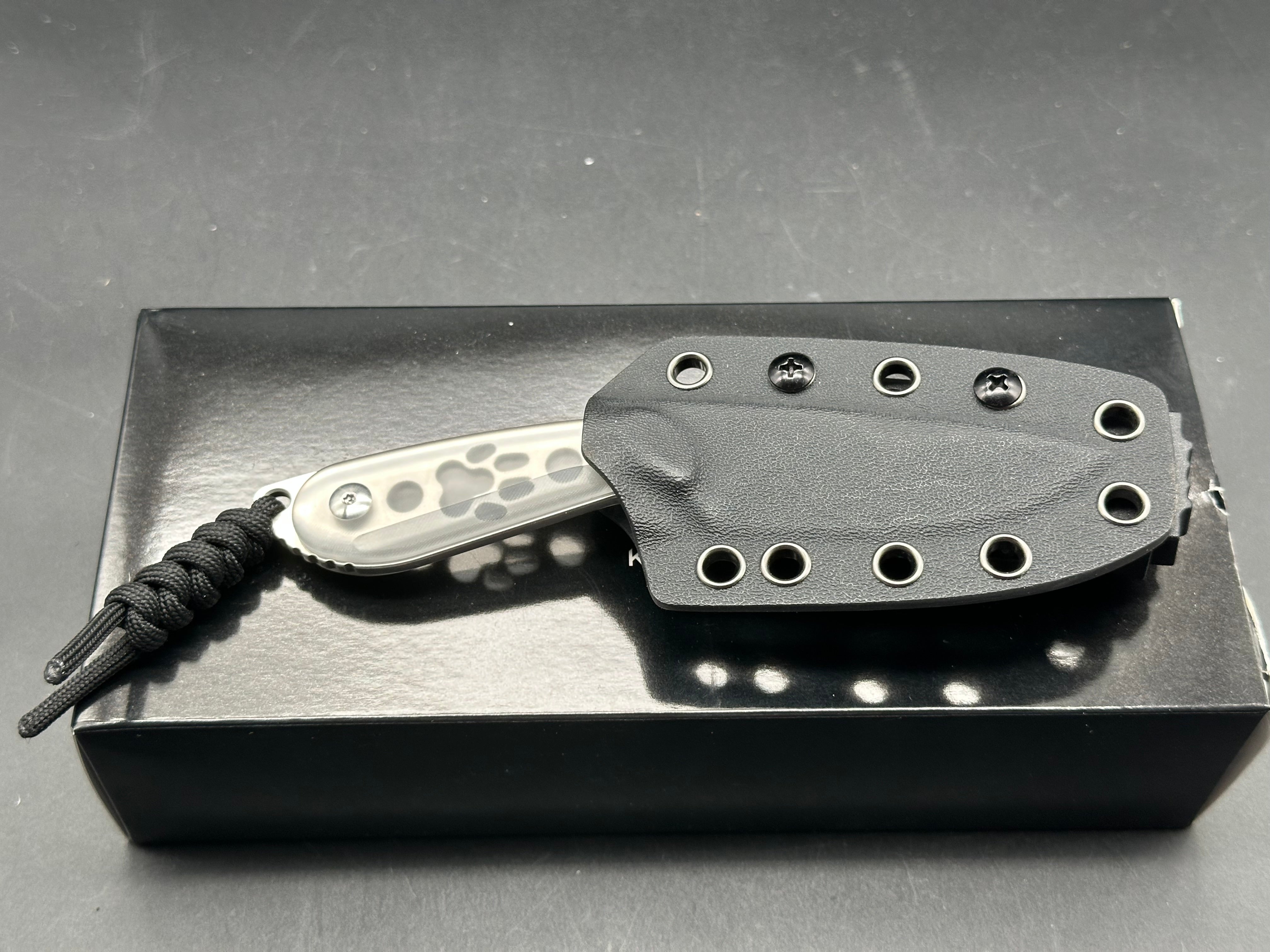 Kizer Buddy Ice in clear acrylic scales AEB-L blade